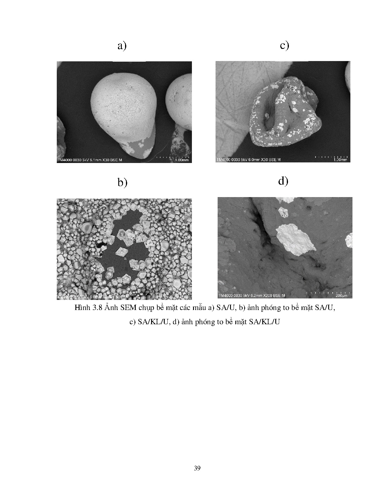 Ảnh một số trang tài liệu