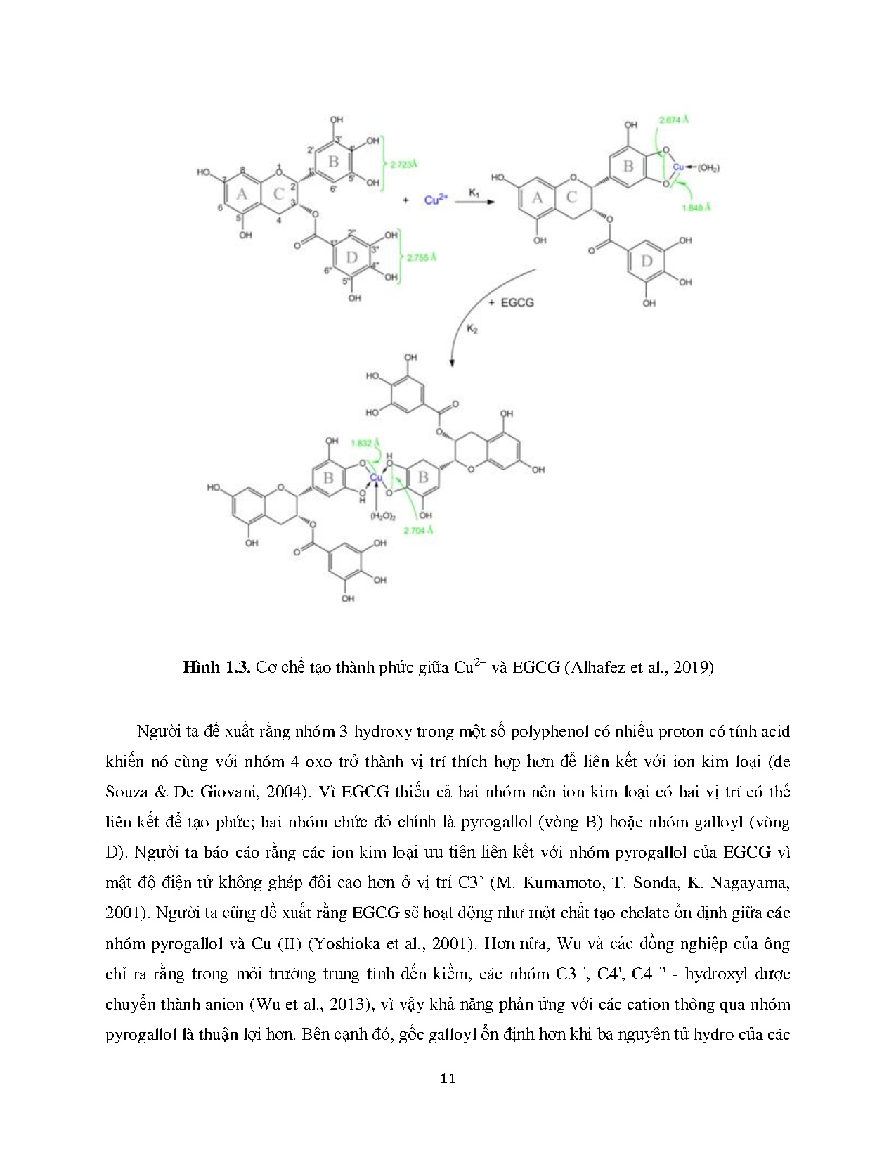 Đồ án tốt nghiệp - Tính chất hóa lý và kháng mốc của màng tinh bột bổ sung dịch chiết trà và CTBQTC - Trang 21