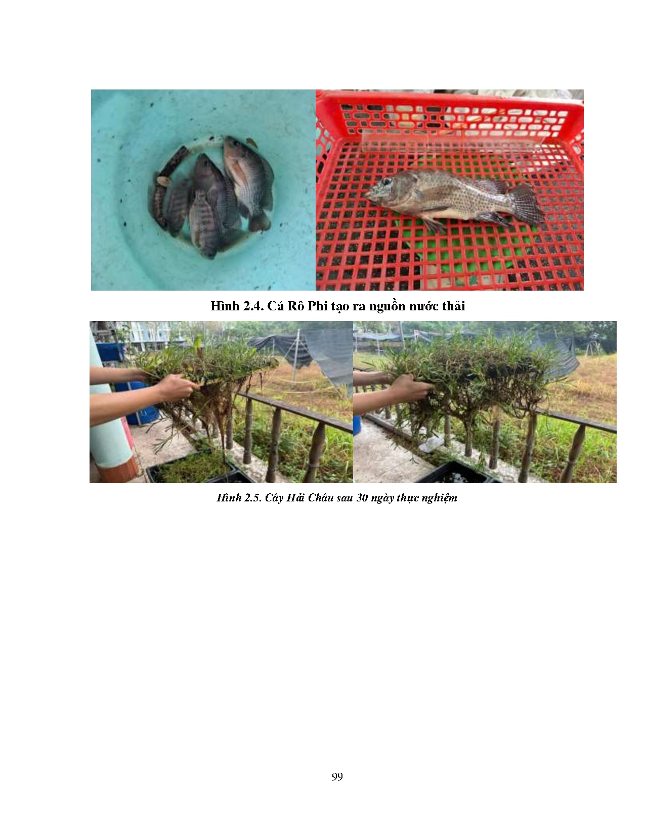 Ảnh một số trang tài liệu