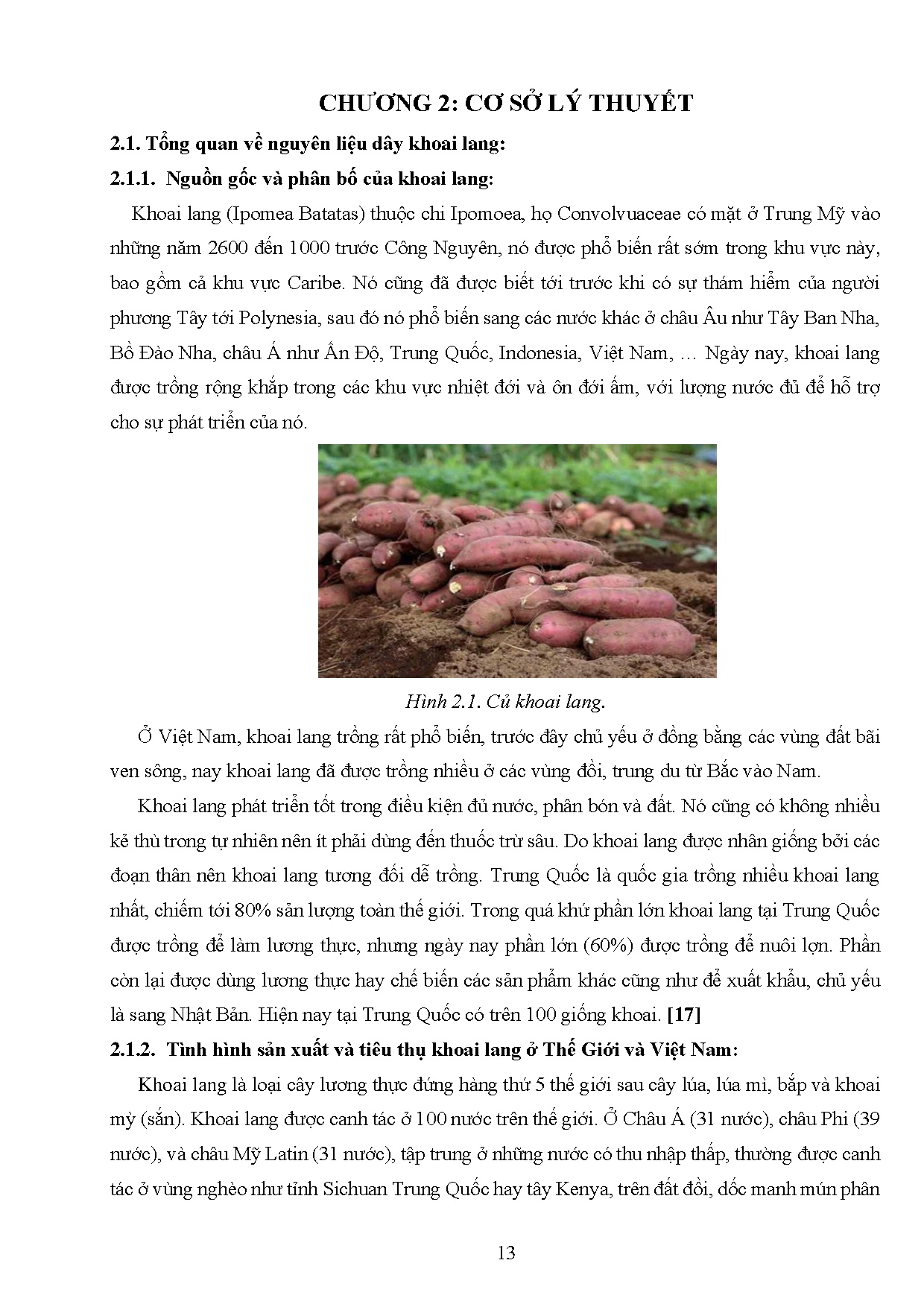 Đồ án tốt nghiệp - Nghiên cứu quy trình làm khay ép hữu cơ từ phụ phẩm dây khoai lang và vỏ hạt C - Trang 37