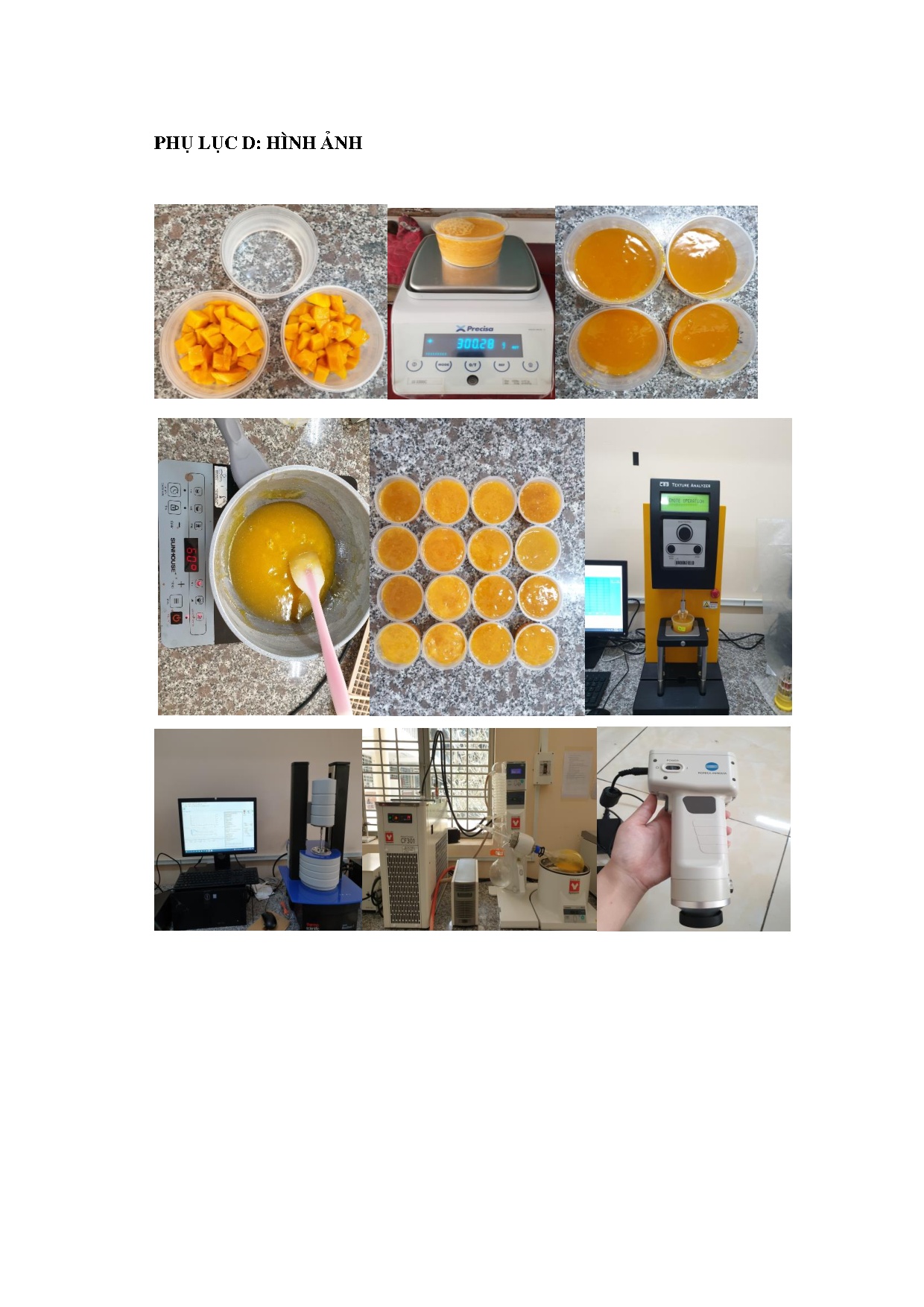 Ảnh một số trang tài liệu