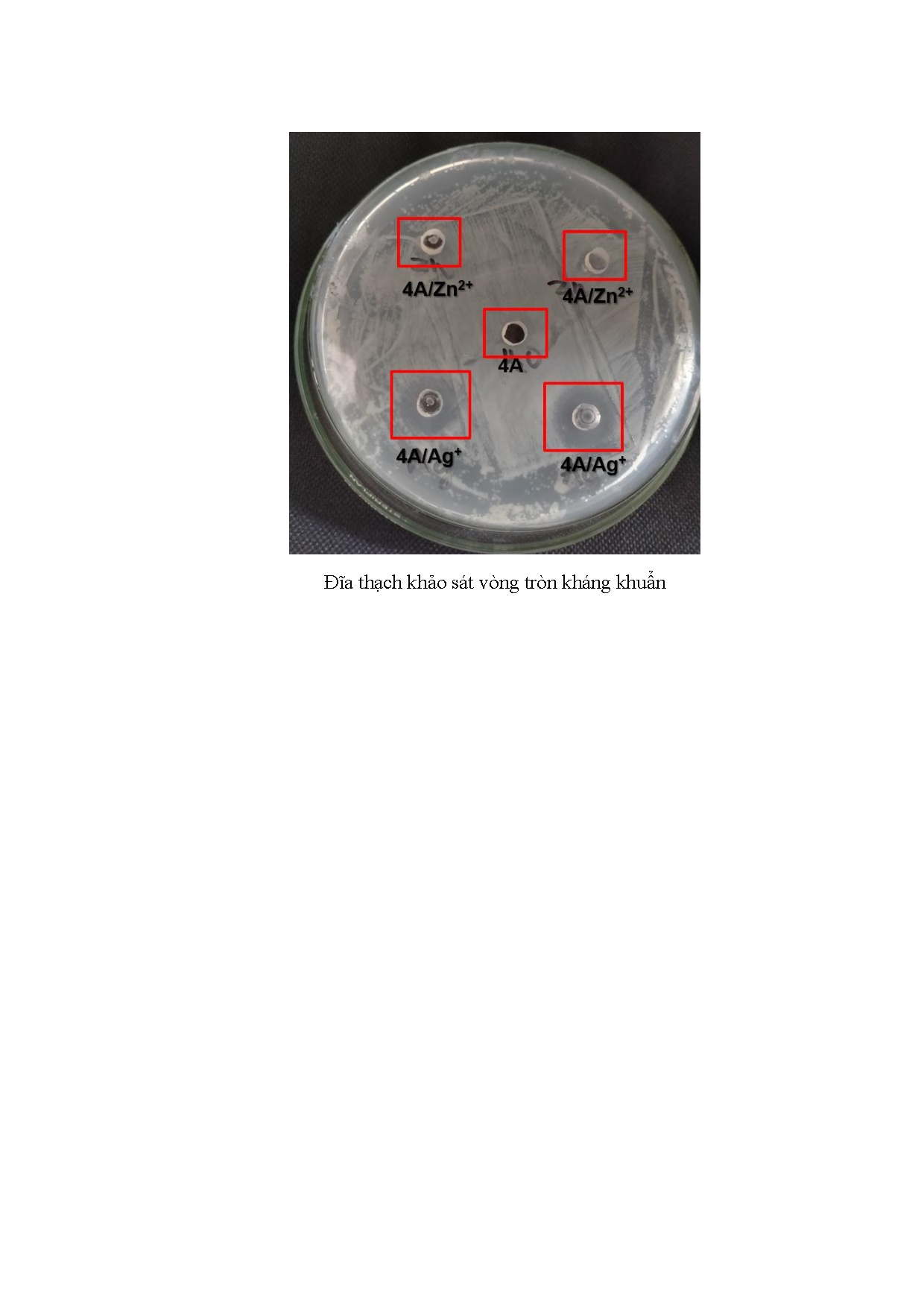 Ảnh một số trang tài liệu