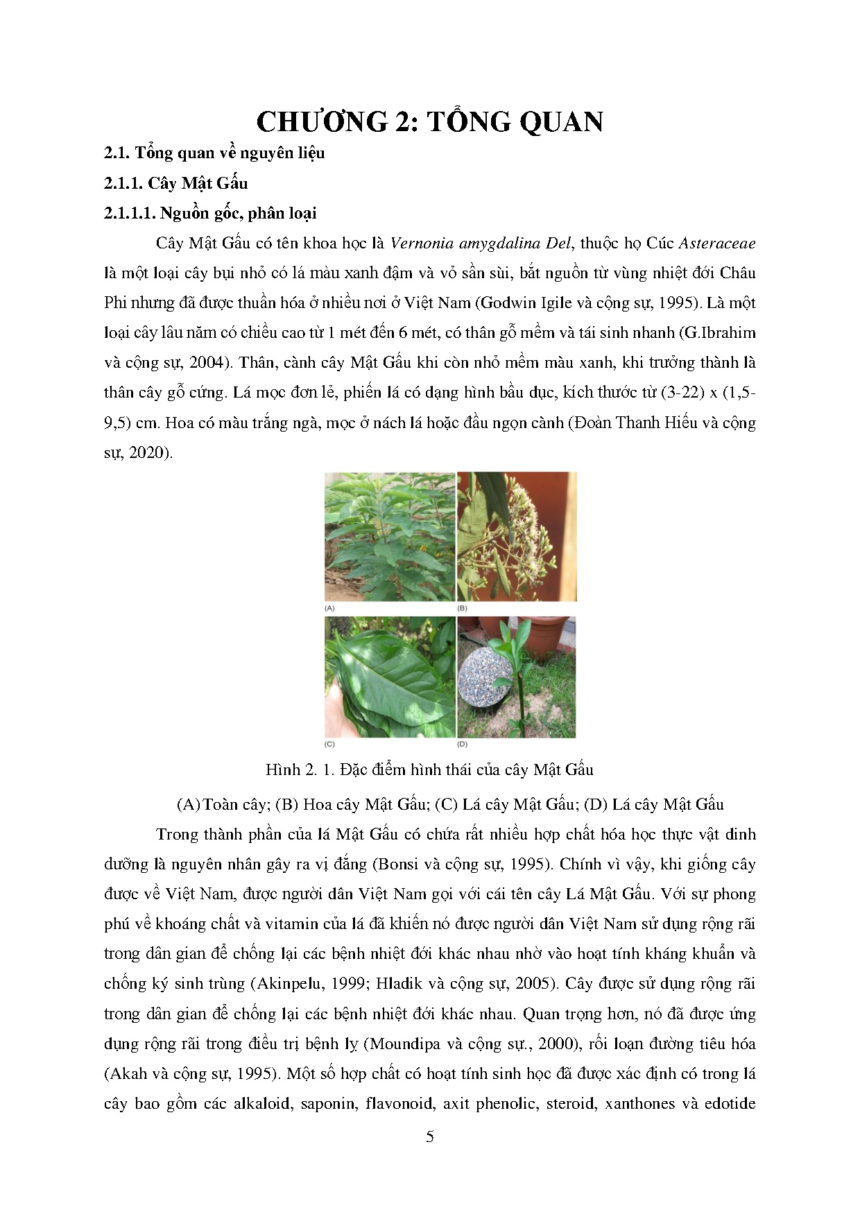 Ảnh một số trang tài liệu