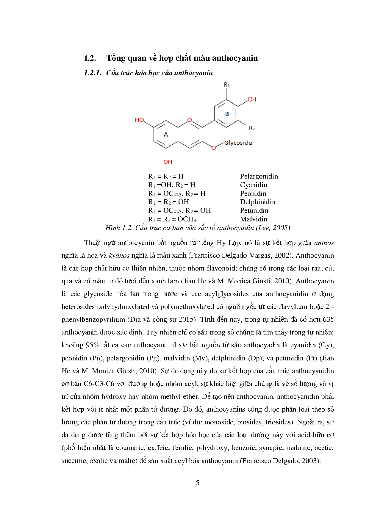 Ảnh một số trang tài liệu