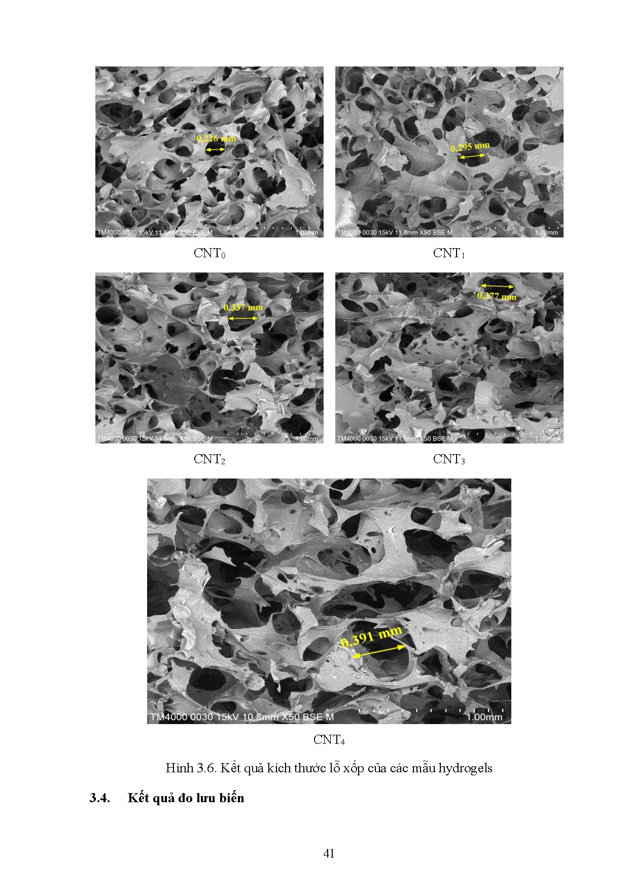 Đồ án tốt nghiệp - Khảo sát ảnh hưởng của hàm lượng Carbon nanotubes đến khả năng hấp phụ PCHTAVMA - Trang 60