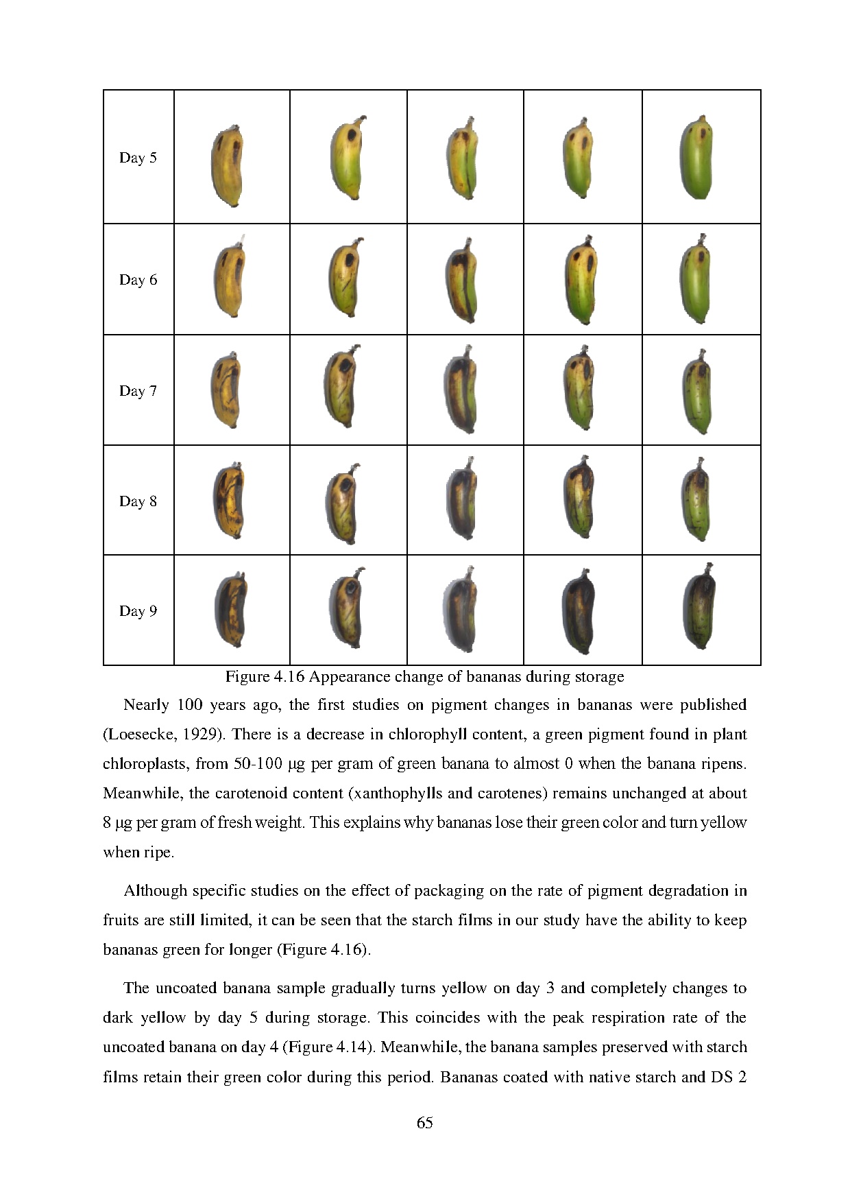 Đồ án tốt nghiệp - Evaluation of physicochemical, mechanical properties, and fruit POADASAADASF - Trang 87