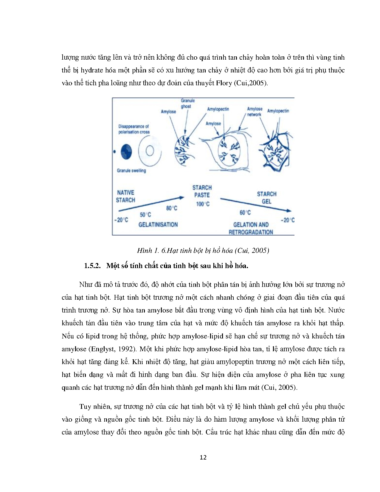 Ảnh một số trang tài liệu
