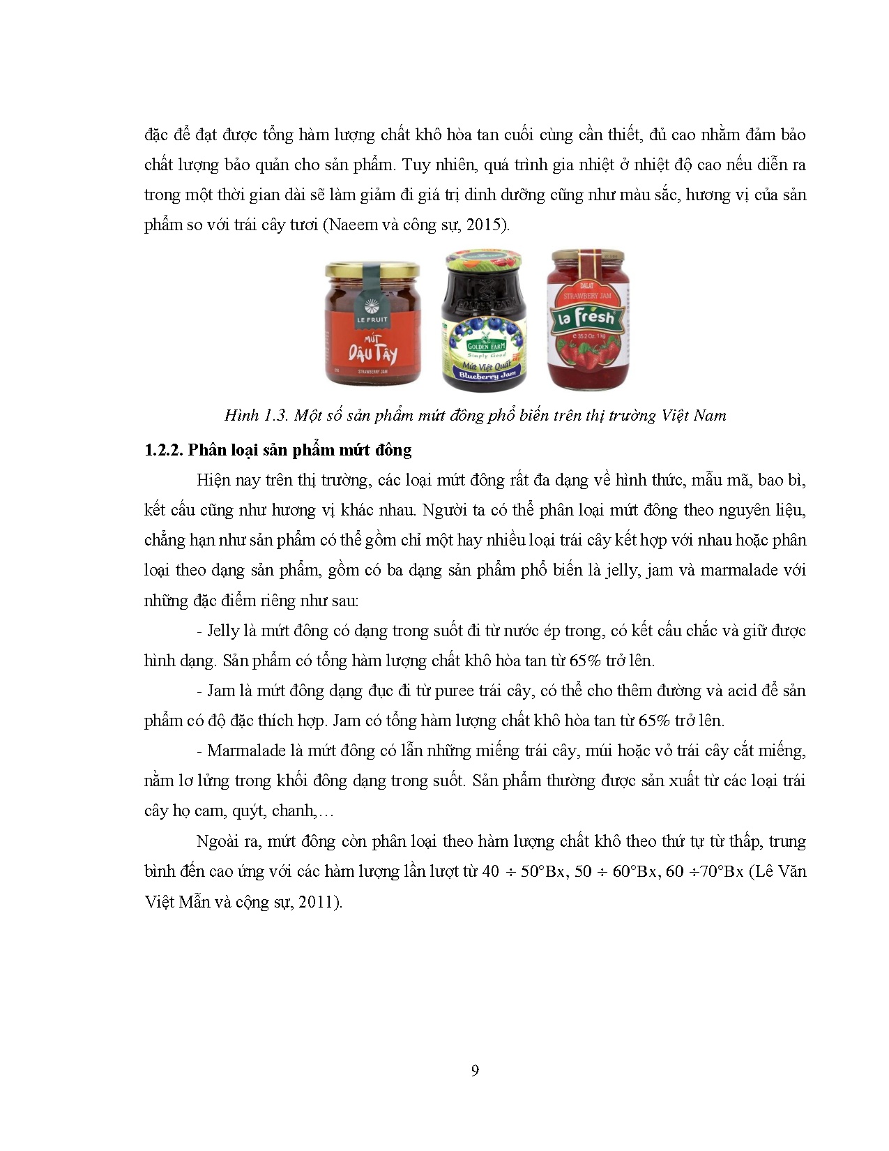 Ảnh một số trang tài liệu