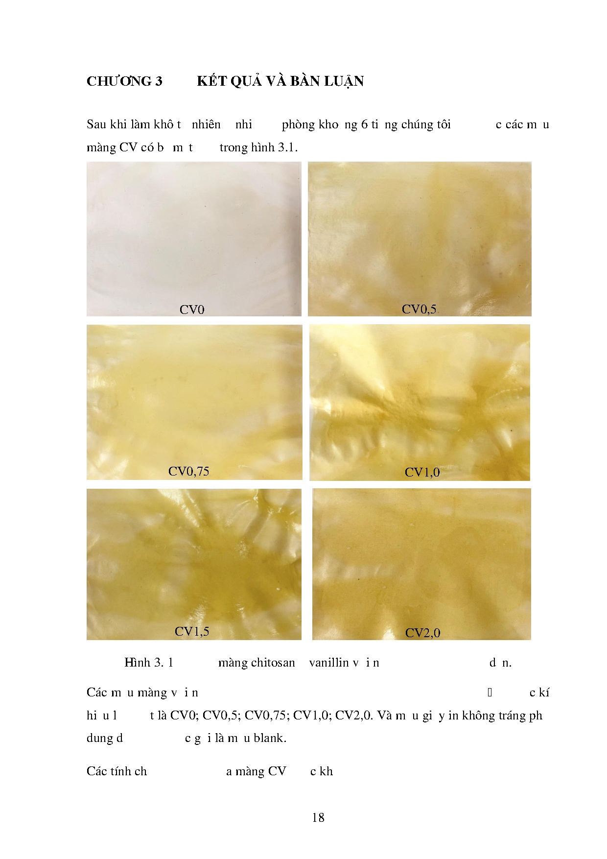 Ảnh một số trang tài liệu