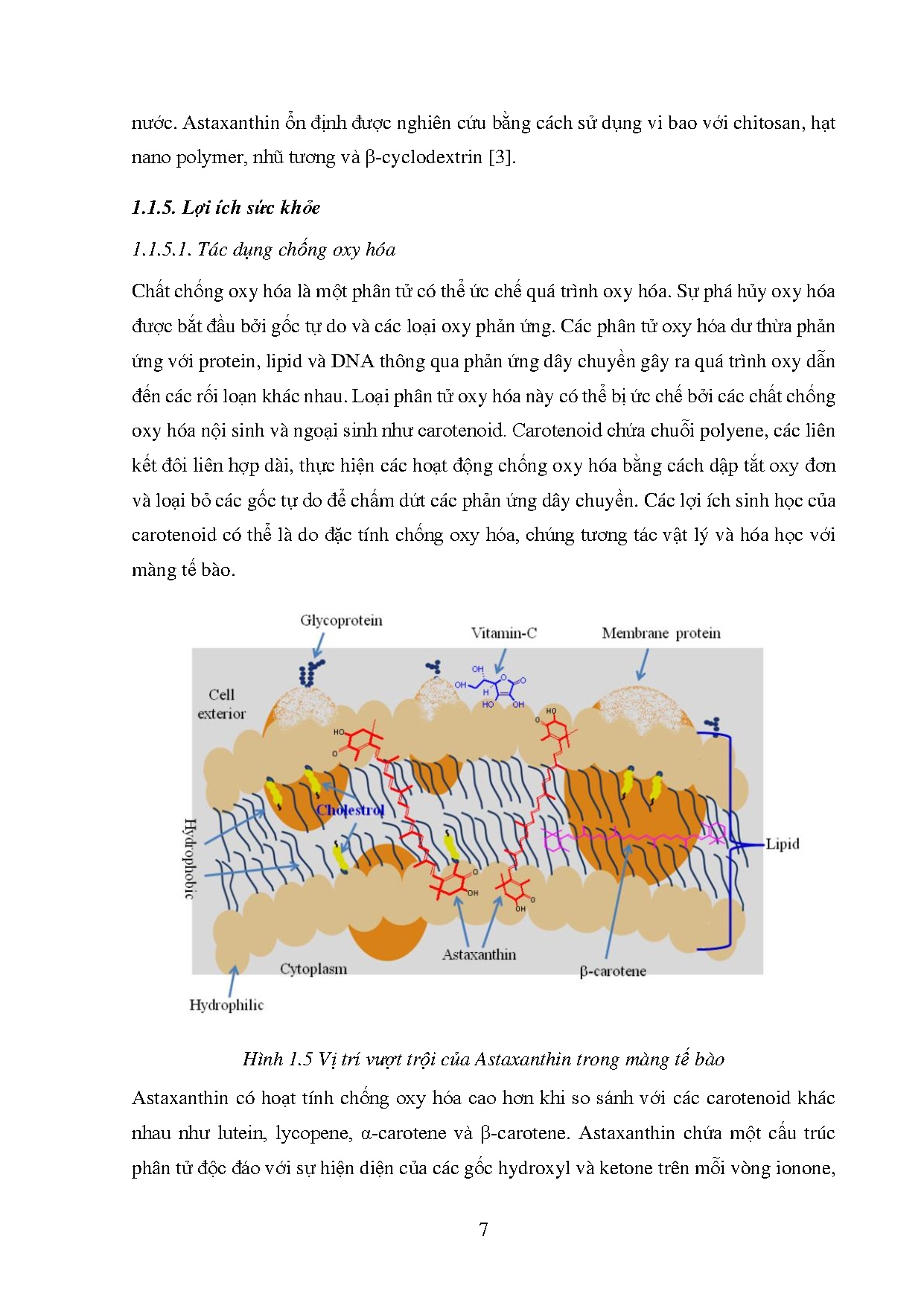 Ảnh một số trang tài liệu