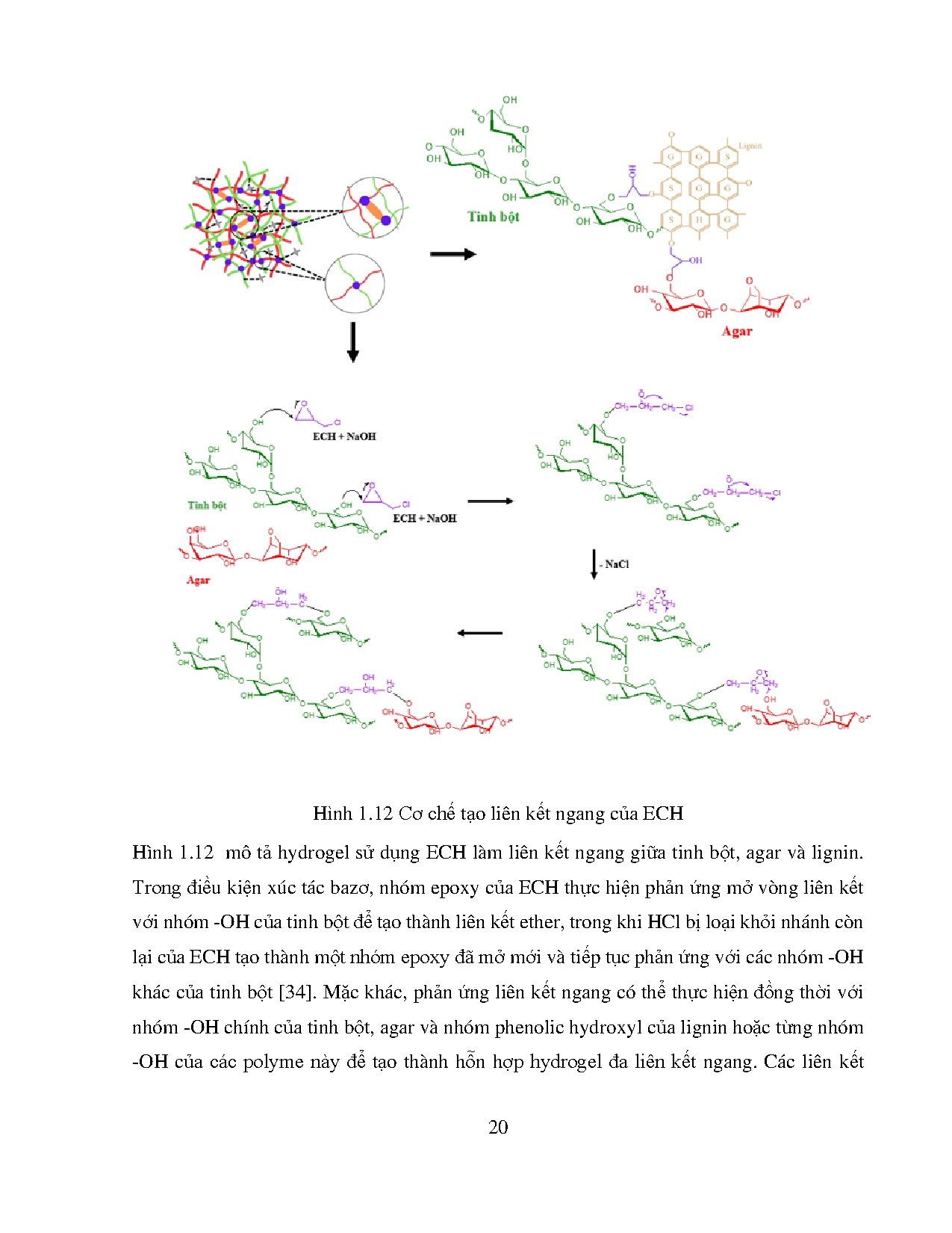 Ảnh một số trang tài liệu