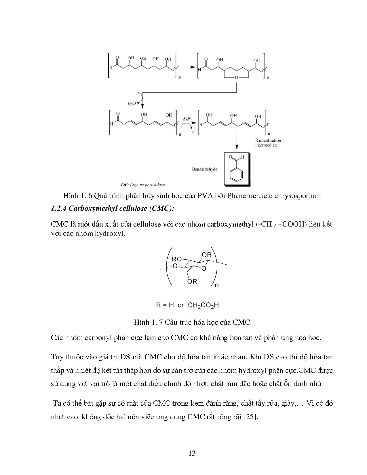 Ảnh một số trang tài liệu