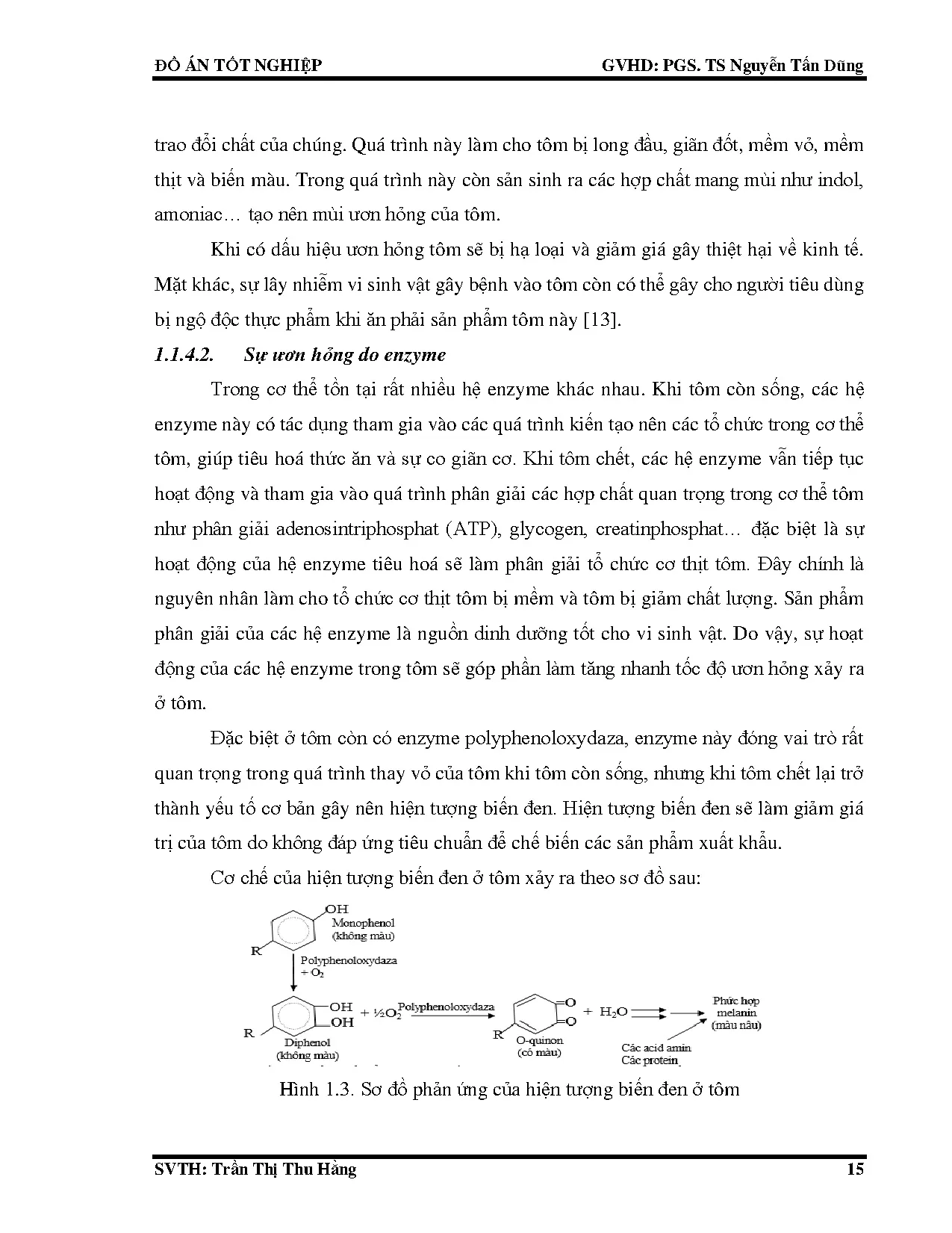 Đồ án tốt nghiệp - Nghiên cứu tính toán thiết kế hệ thống lạnh cấp đông tôm sú IQF, với năng suất 1 - Trang 39