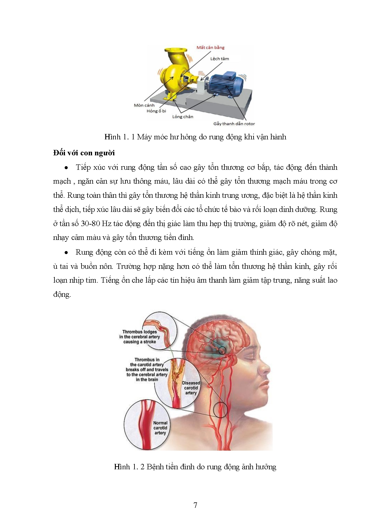 Ảnh một số trang tài liệu
