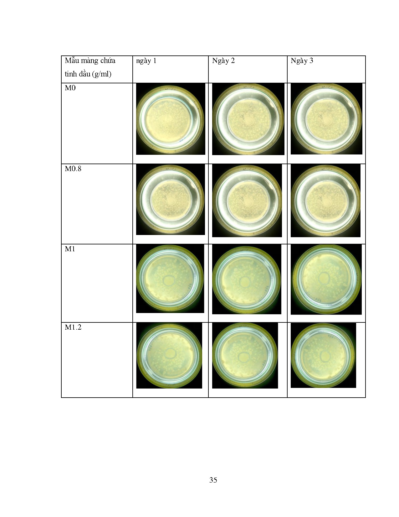 Ảnh một số trang tài liệu