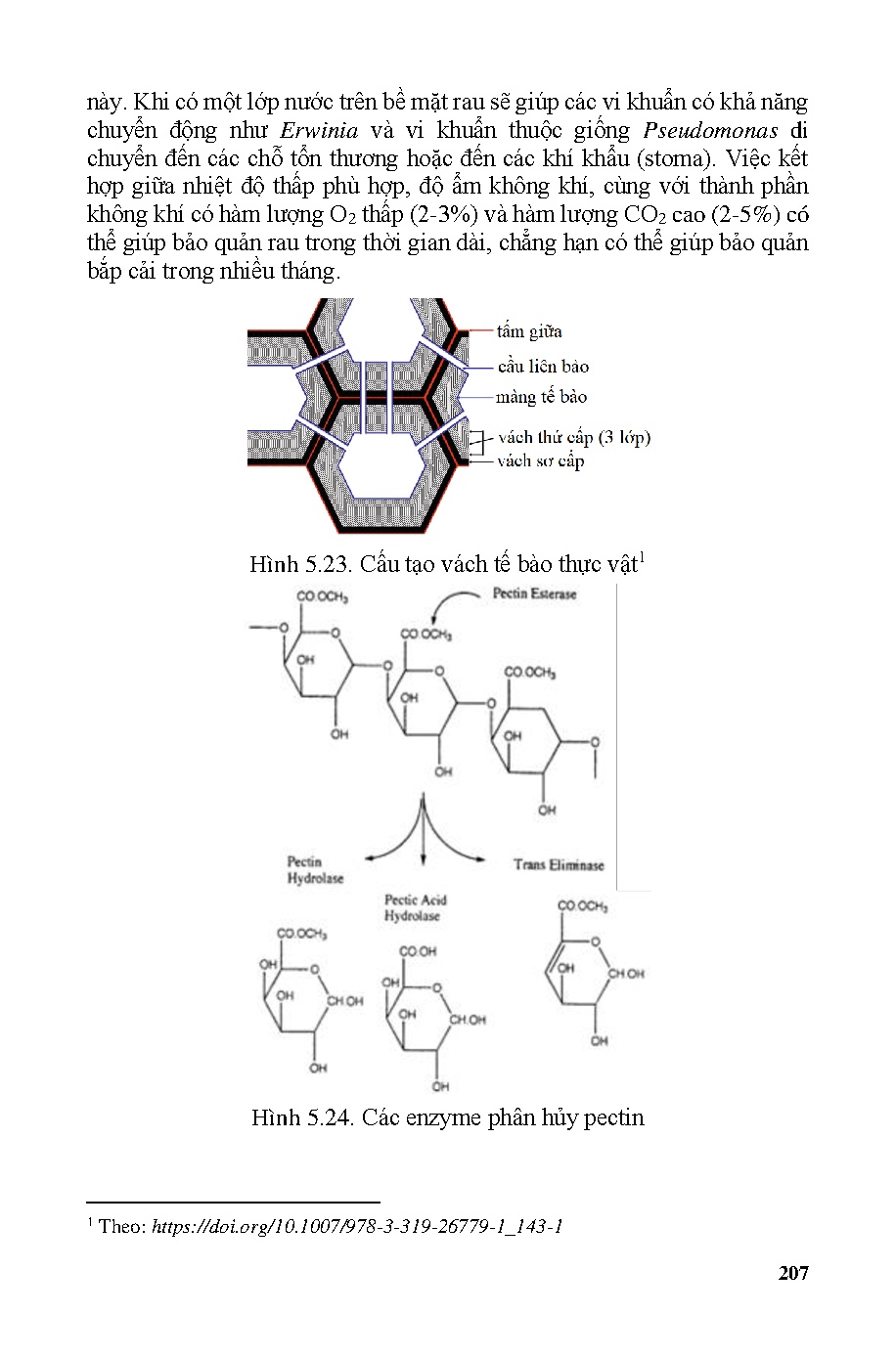 Ảnh một số trang tài liệu