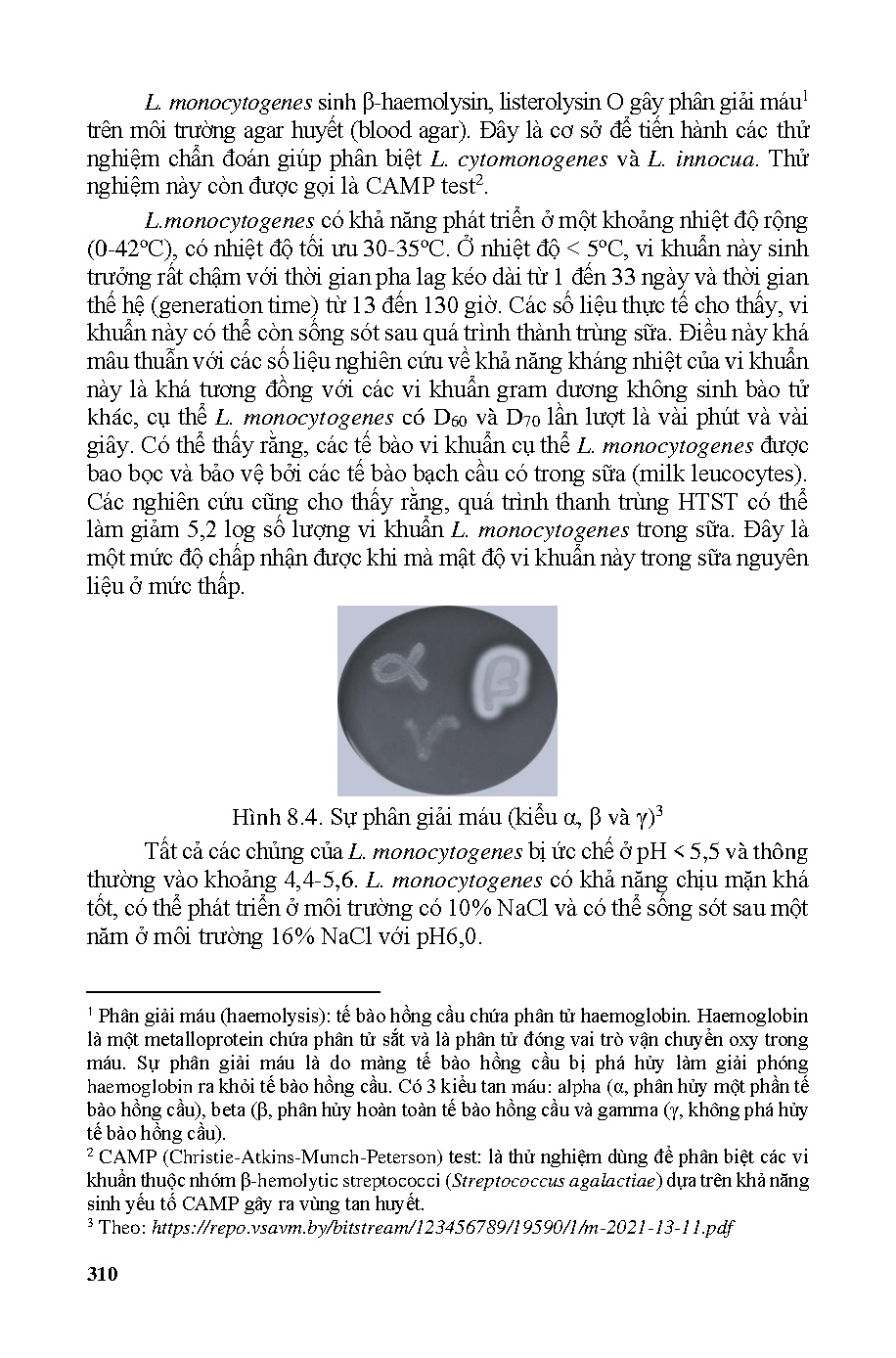 Ảnh một số trang tài liệu