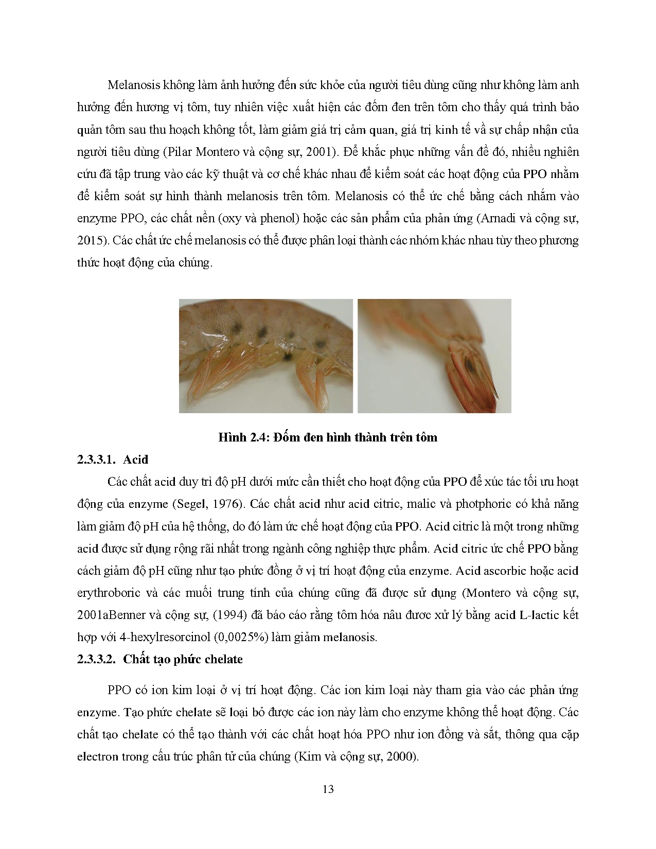 Ảnh một số trang tài liệu