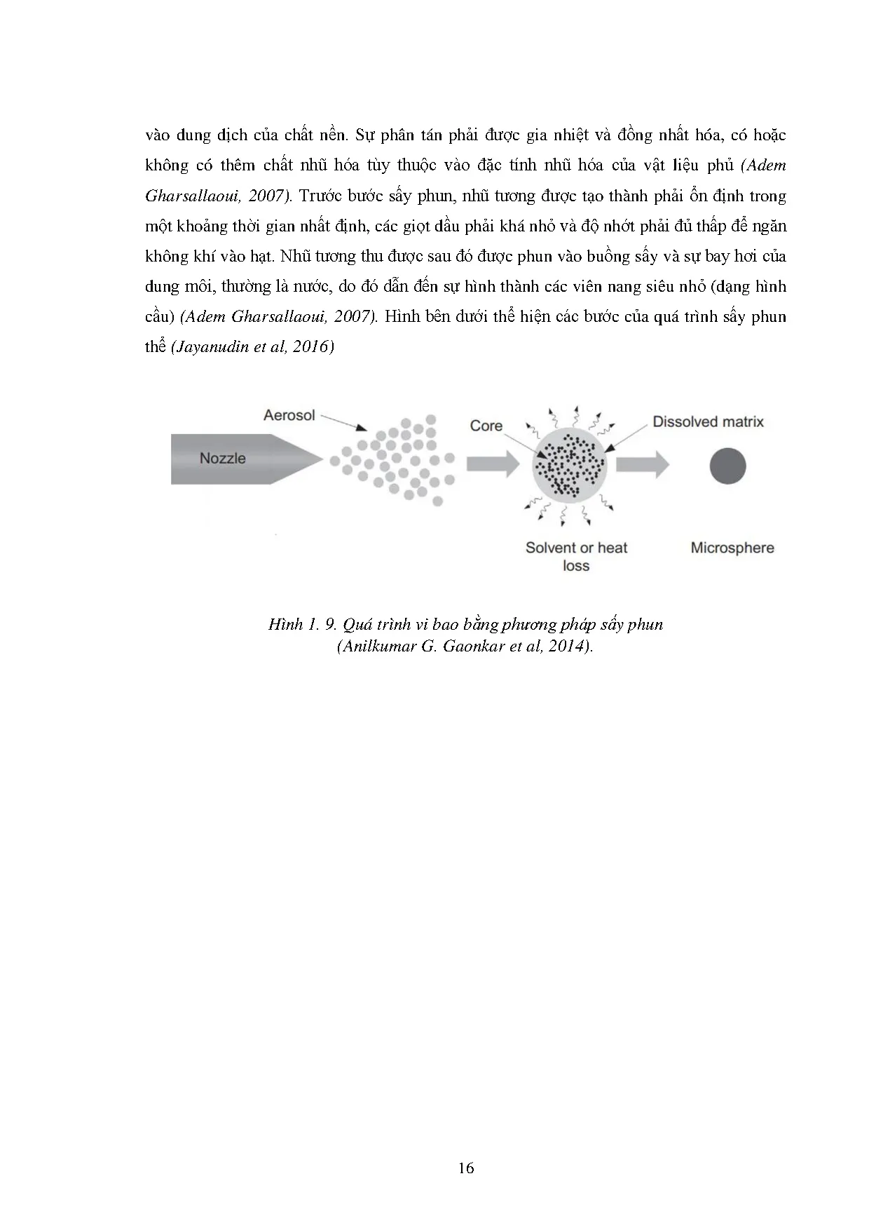 Đồ án tốt nghiệp - Khảo sát quá trình vi bao curcumin bằng phương pháp sấy phun - Trang 39