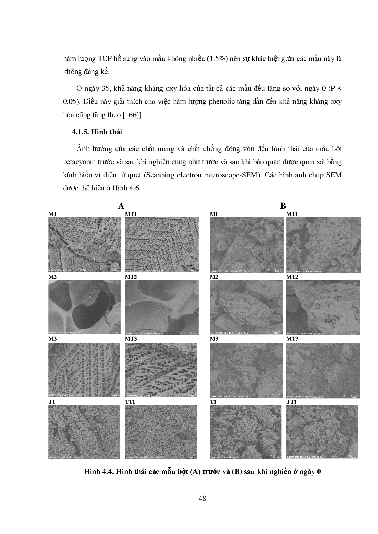 Đồ án tốt nghiệp - Khảo sát ảnh hưởng của các chất mang đến khả năng bảo quản của bột BTVTLRĐ ( P - Trang 69