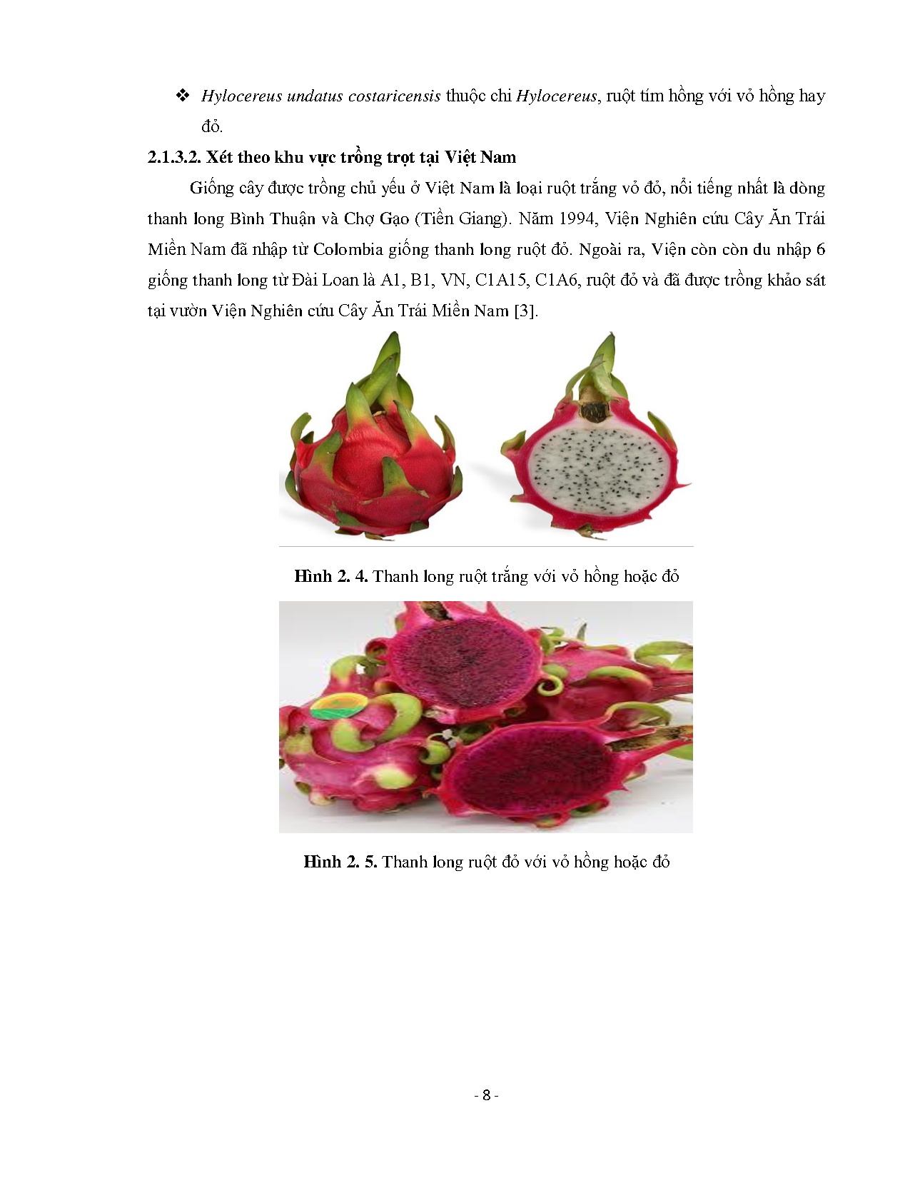 Ảnh một số trang tài liệu