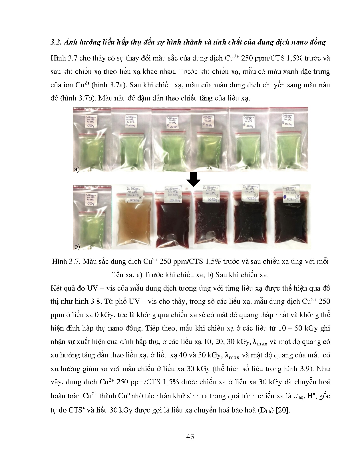 Ảnh một số trang tài liệu