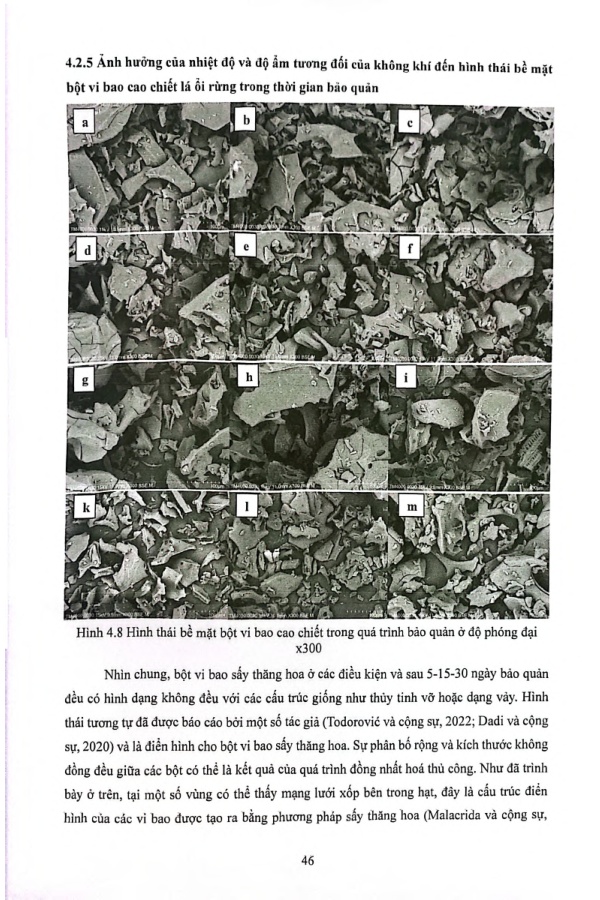 Ảnh một số trang tài liệu