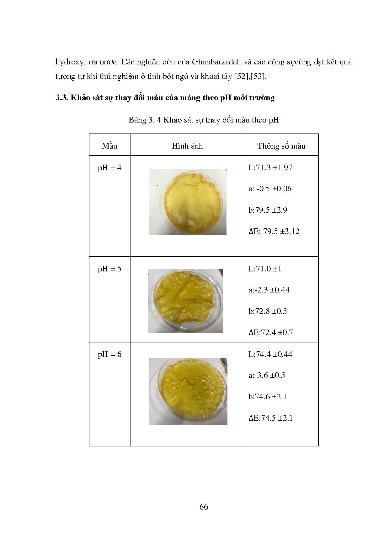 Ảnh một số trang tài liệu