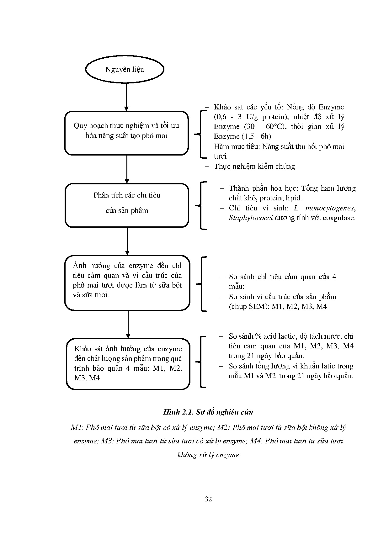Đồ án tốt nghiệp - Sự ảnh hưởng của Enzyme Transglutaminase đến chất lượng phô mai tươi trong QTBQ - Trang 53