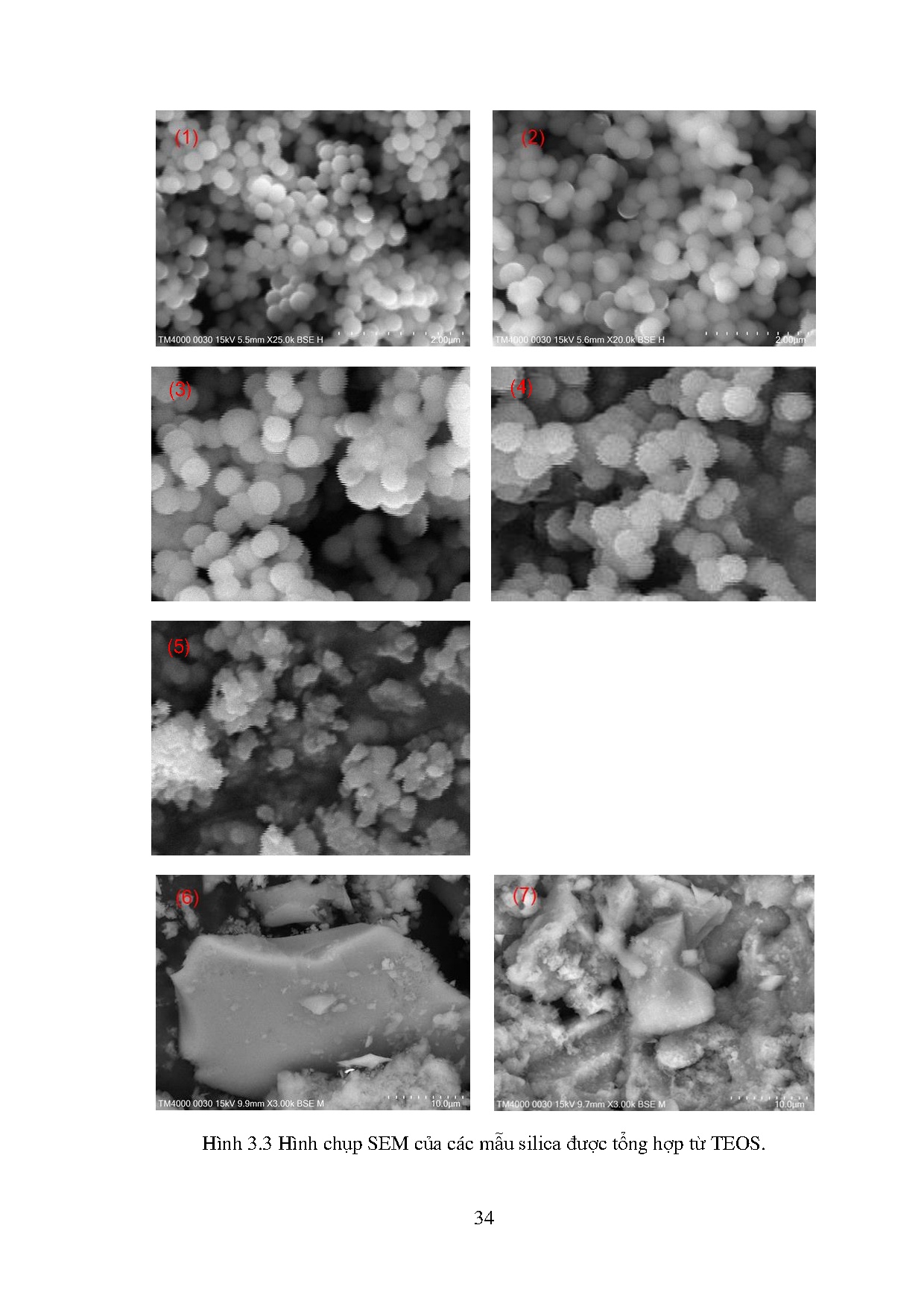 Ảnh một số trang tài liệu