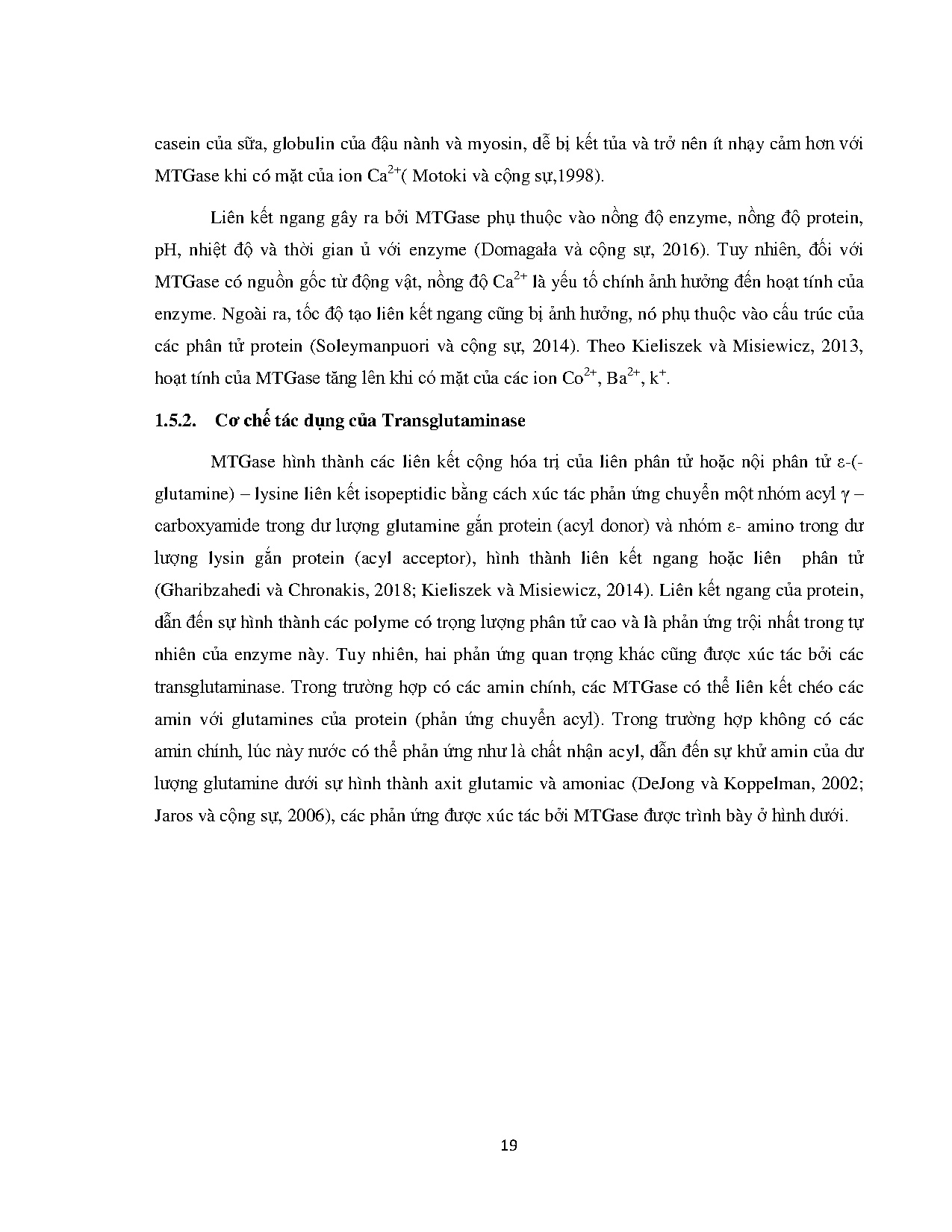 Đồ án tốt nghiệp - Ảnh hưởng của Microbial Transglutaminase đến chất lượng phô mai tươi đông tụ BAC - Trang 32