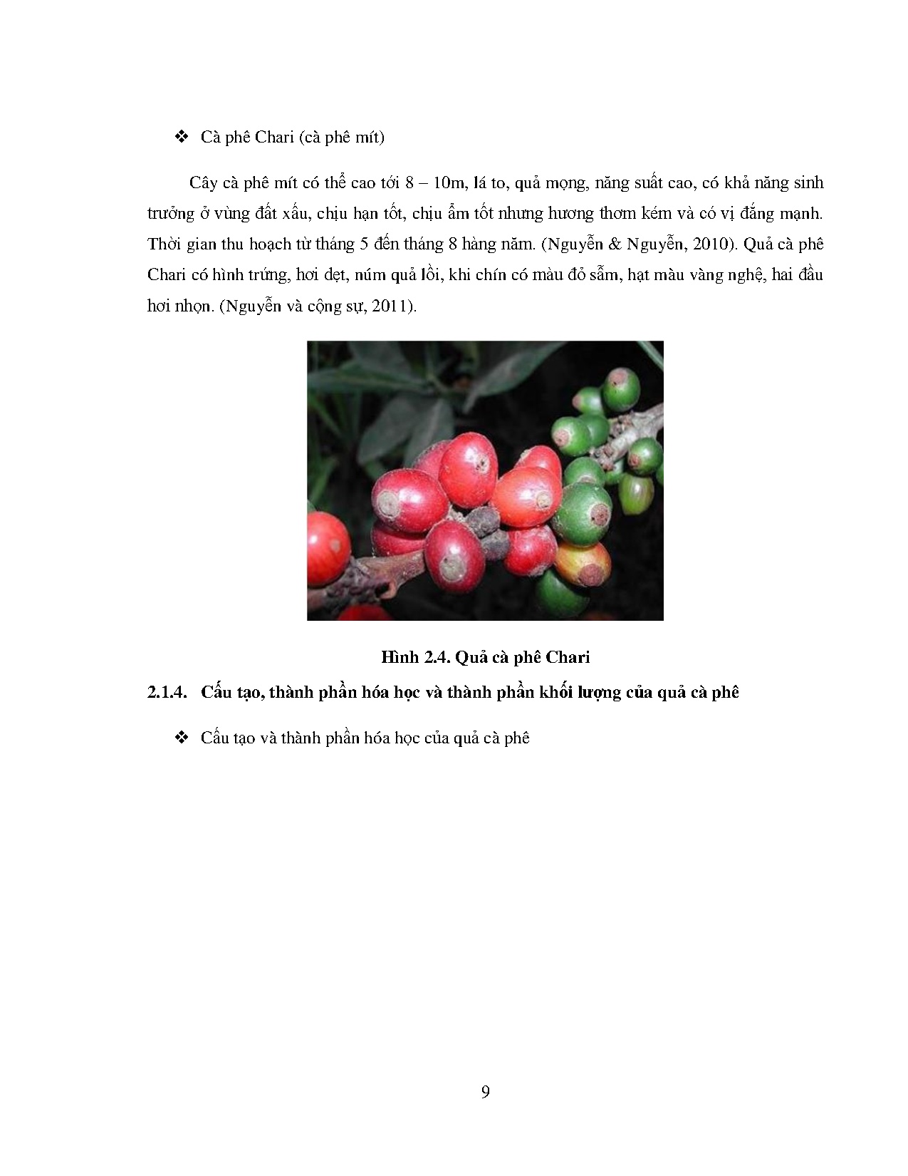 Đồ án tốt nghiệp - Nghiên cứu điều kiện sinh tổng hợp Enzyme Cellulase từ nấm sợi AOEPTNSANVỨDTXLCP - Trang 34