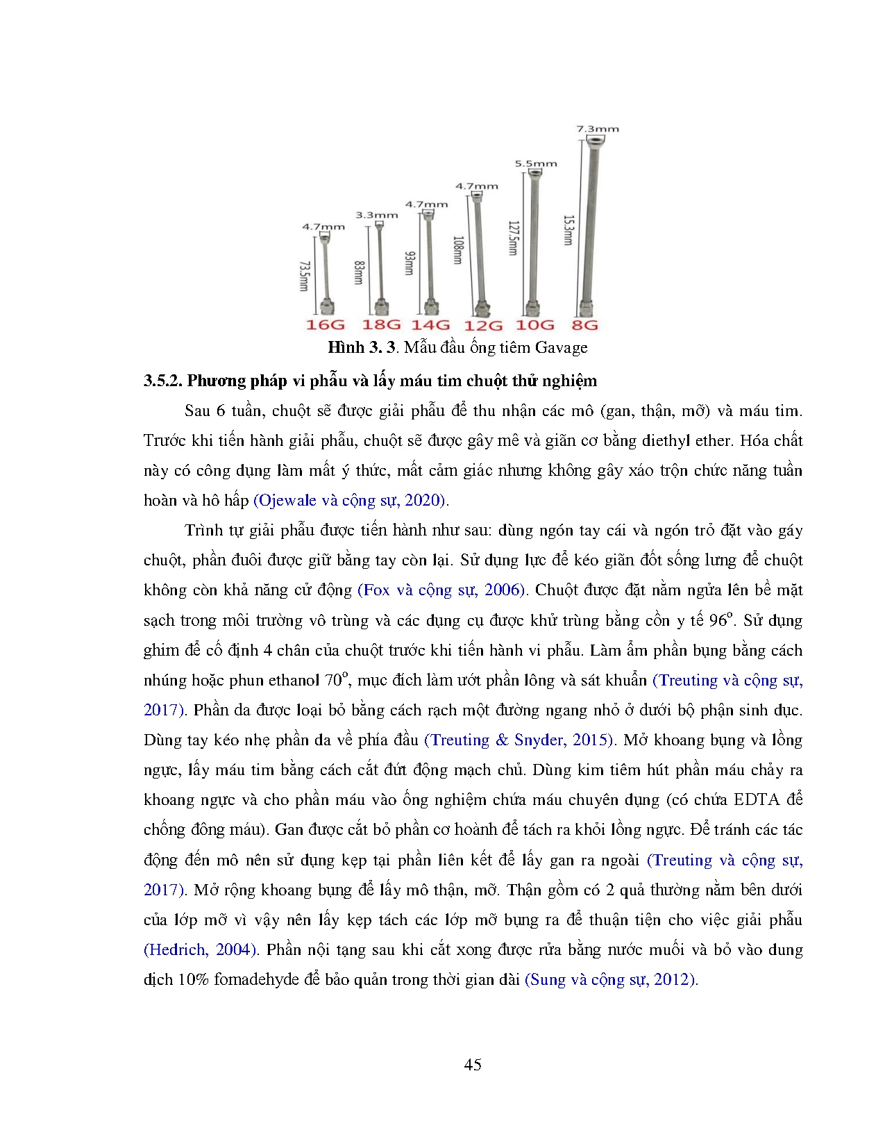 Ảnh một số trang tài liệu