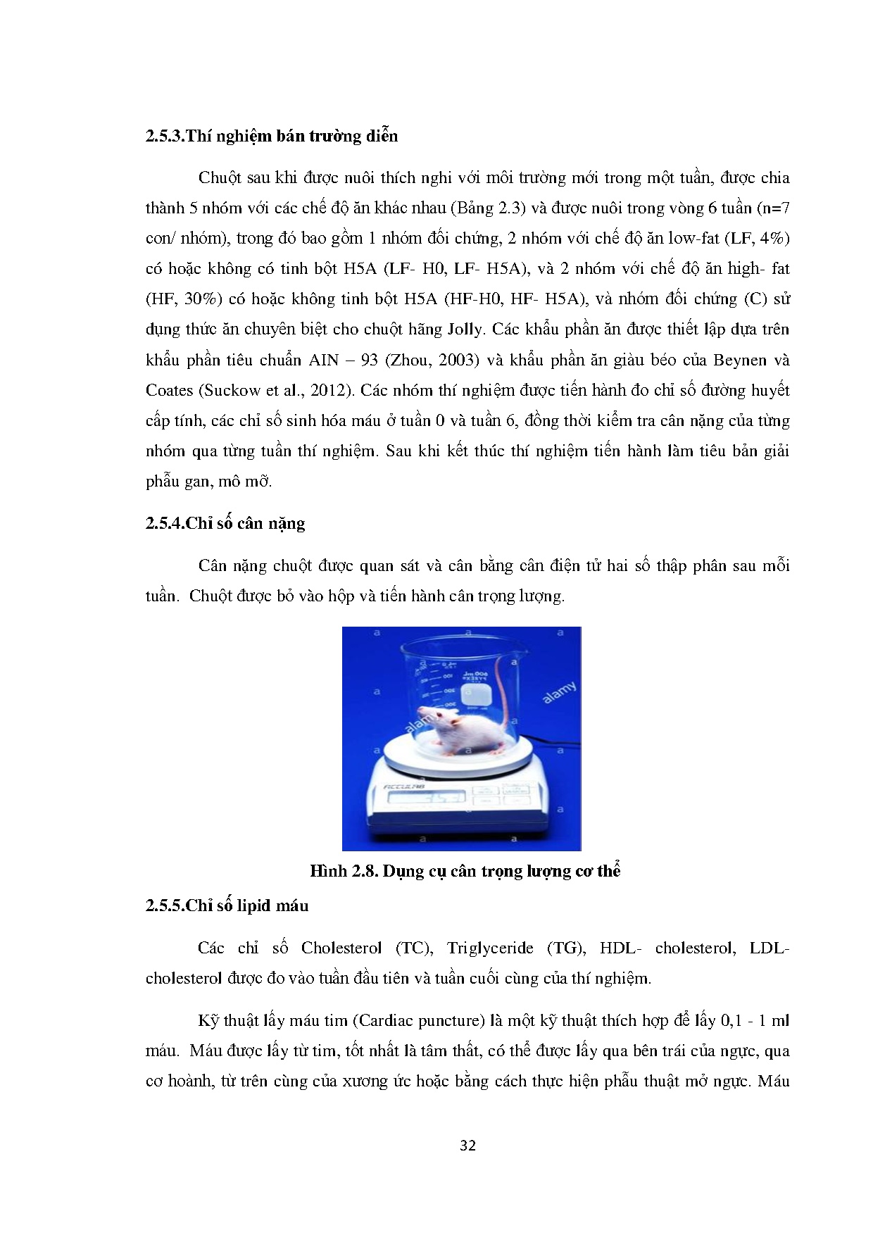 Ảnh một số trang tài liệu