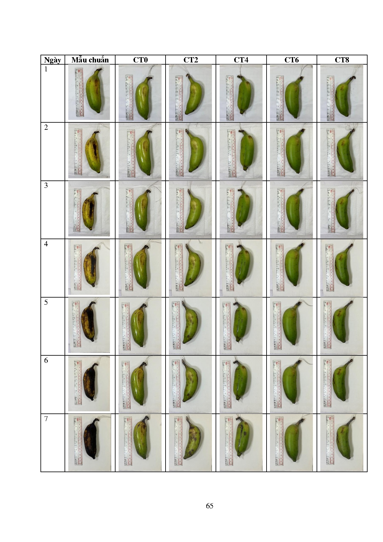 Ảnh một số trang tài liệu