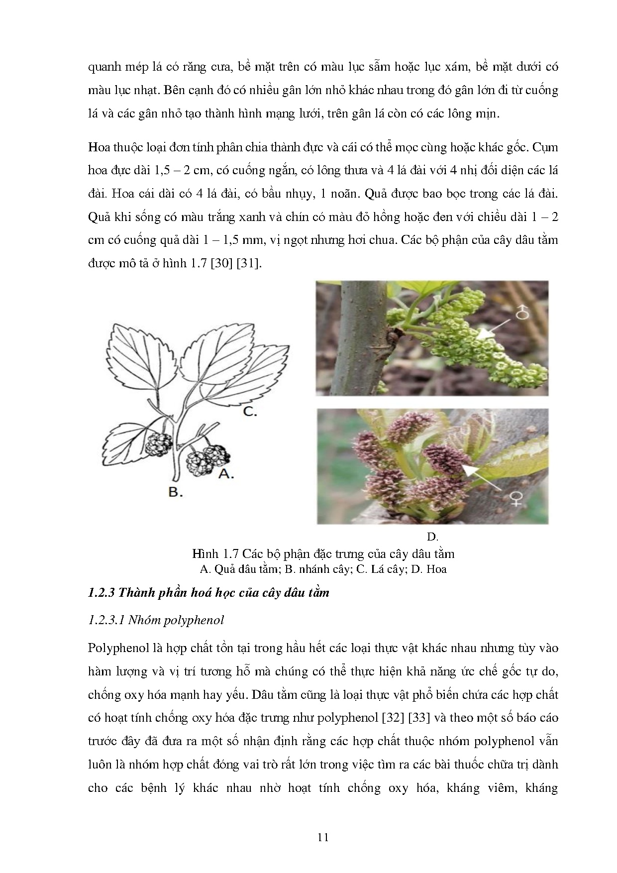 Ảnh một số trang tài liệu