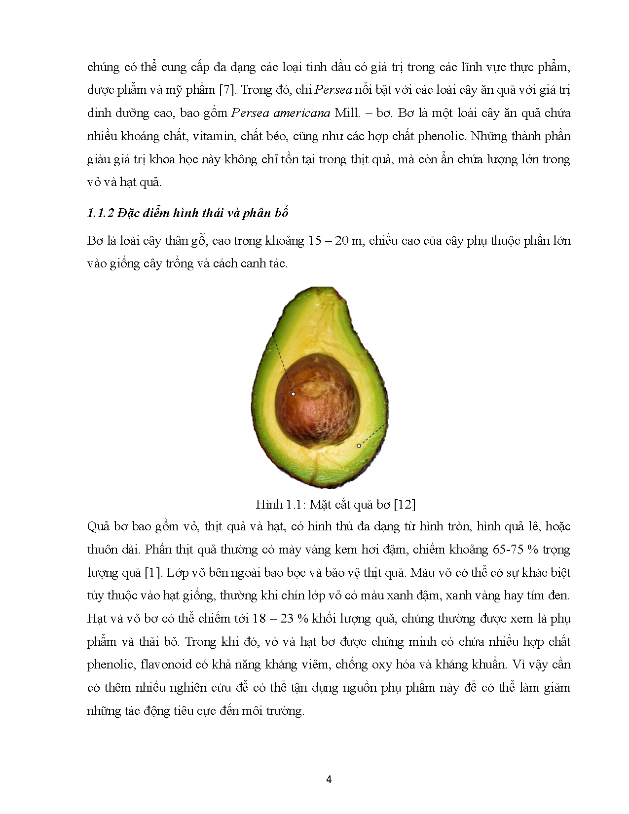 Đồ án tốt nghiệp - Trích ly các Avocadfuran từ hạt bơ (Persea Americana Mill.) và đánh GTPCHTSHCPB - Trang 27