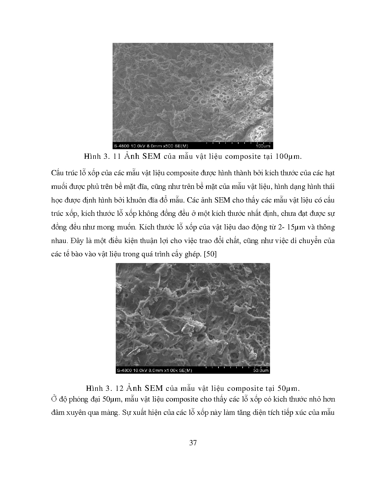 Đồ án tốt nghiệp - Vật liệu Composite 3D rỗng từ tinh bột và Silica (từ vỏ trấu) - Trang 49