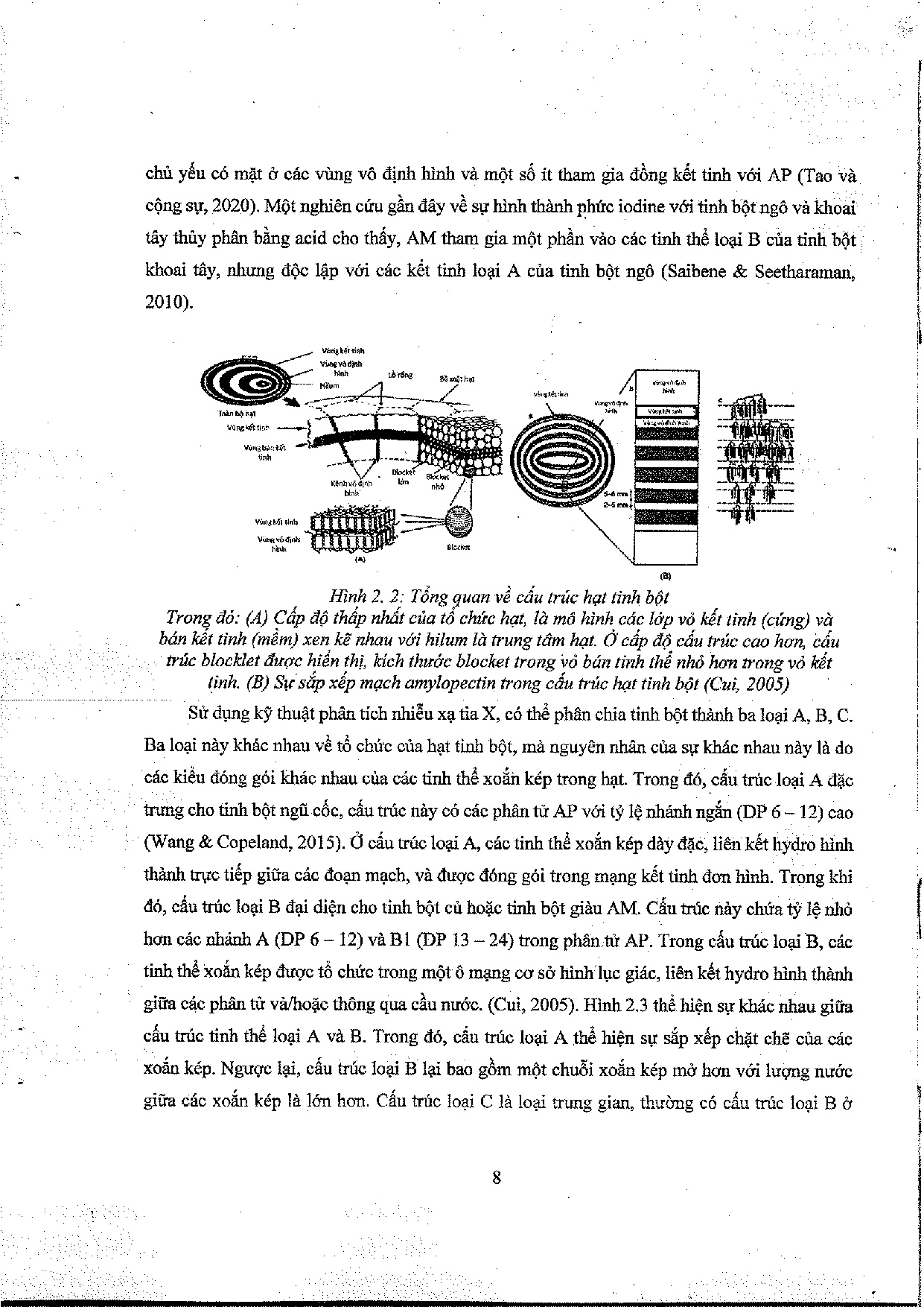 Ảnh một số trang tài liệu