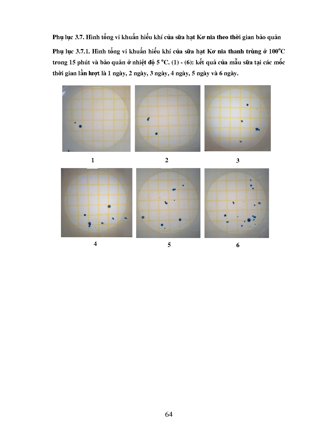 Ảnh một số trang tài liệu