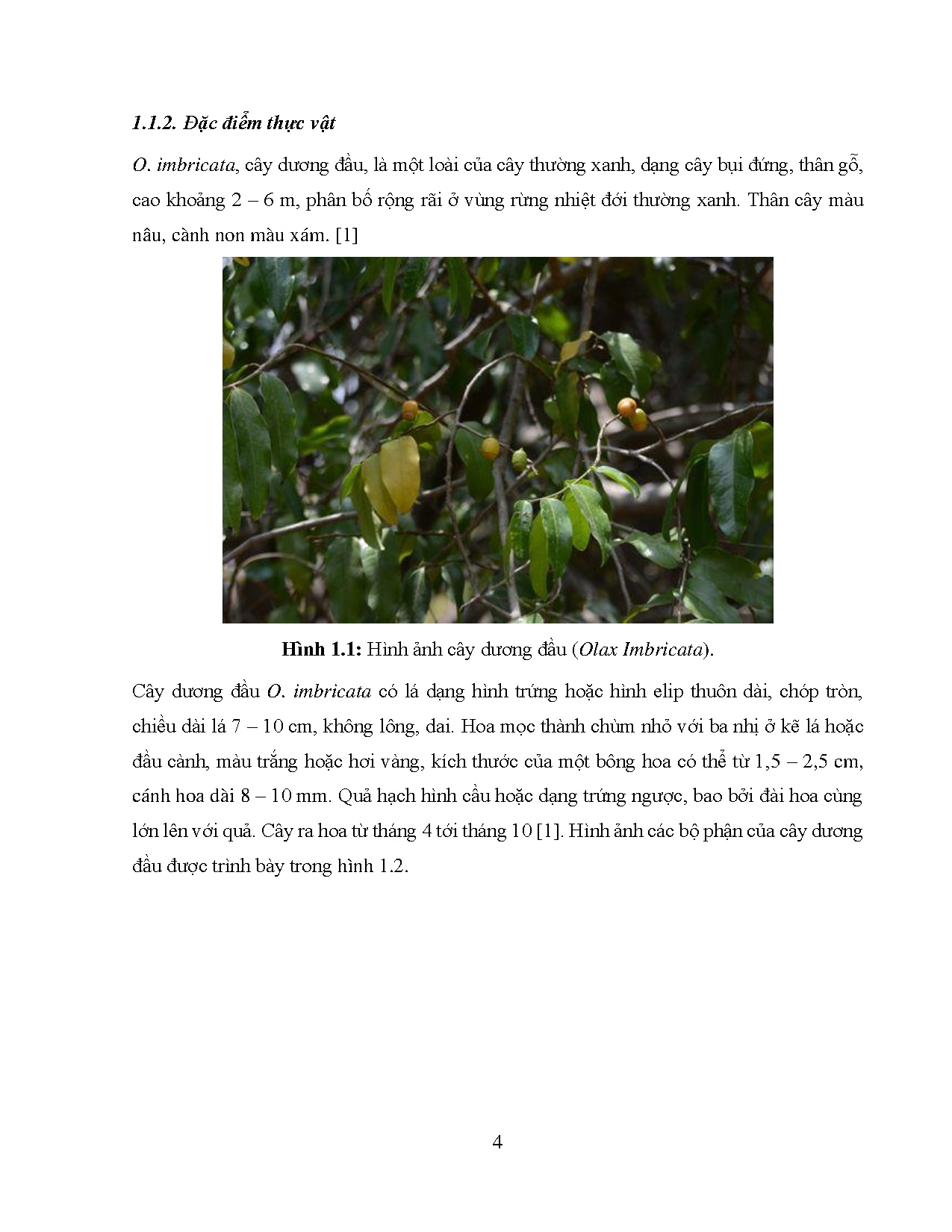 Ảnh một số trang tài liệu