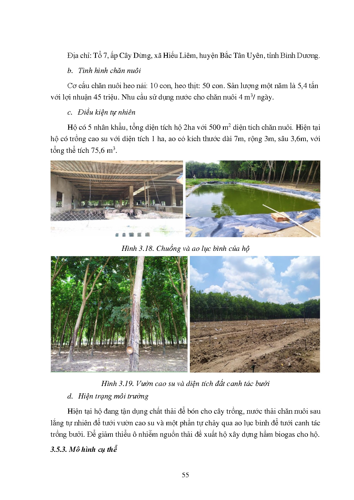 Ảnh một số trang tài liệu