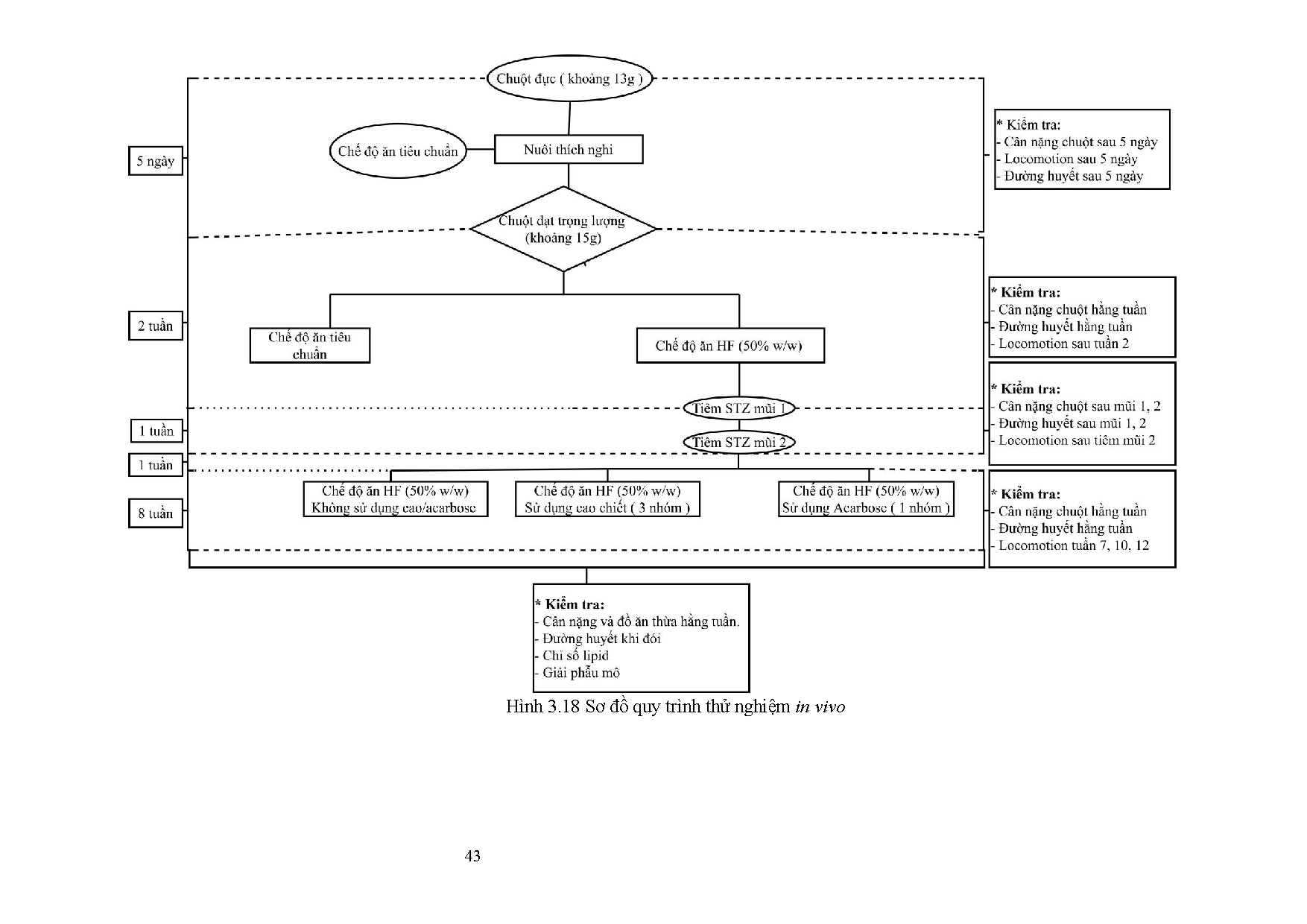 Đồ án tốt nghiệp - Đánh giá khả năng ngăn ngừa đái tháo đường loại 2, Mỡ máu VTCBPCCC 9 ETTCCPBTNIV - Trang 66