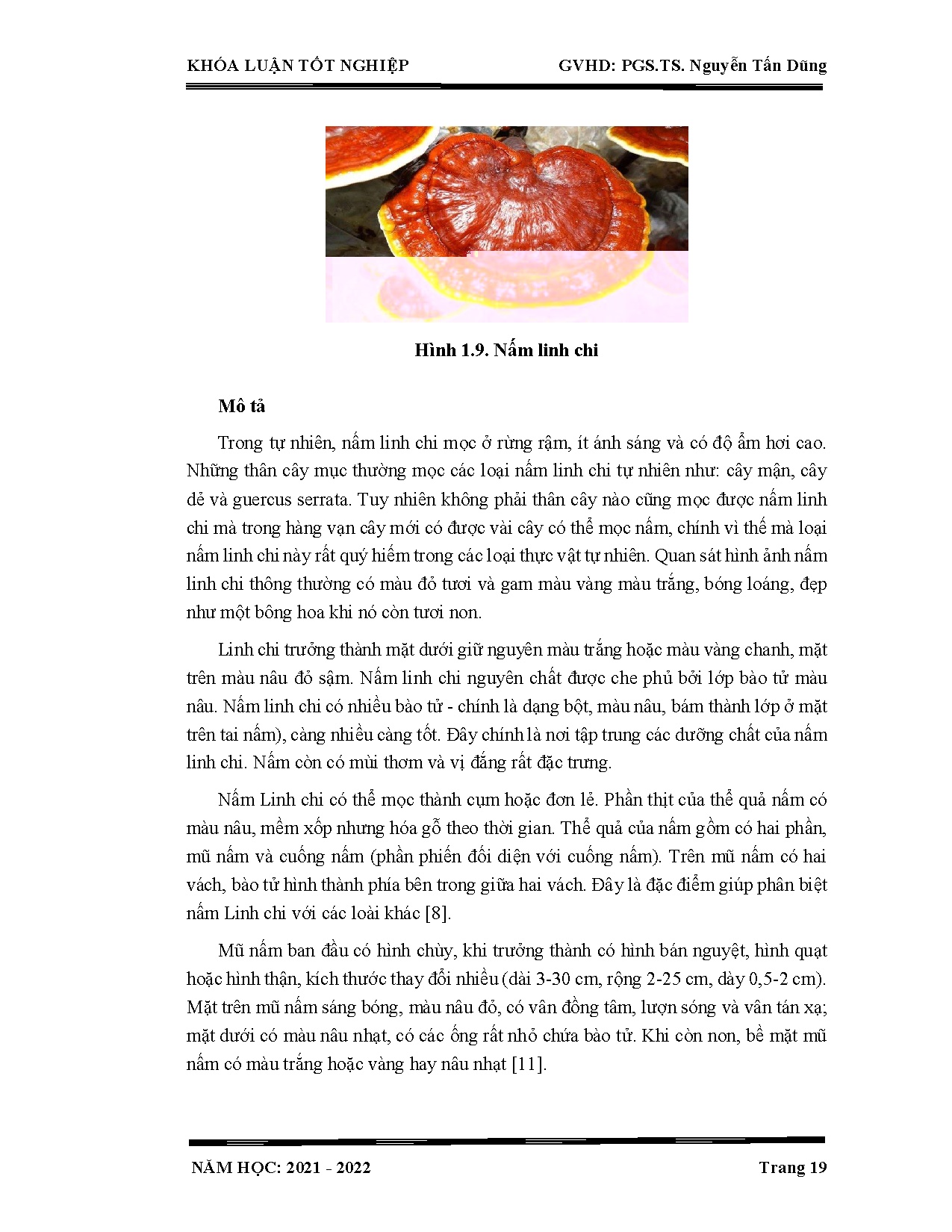 Ảnh một số trang tài liệu