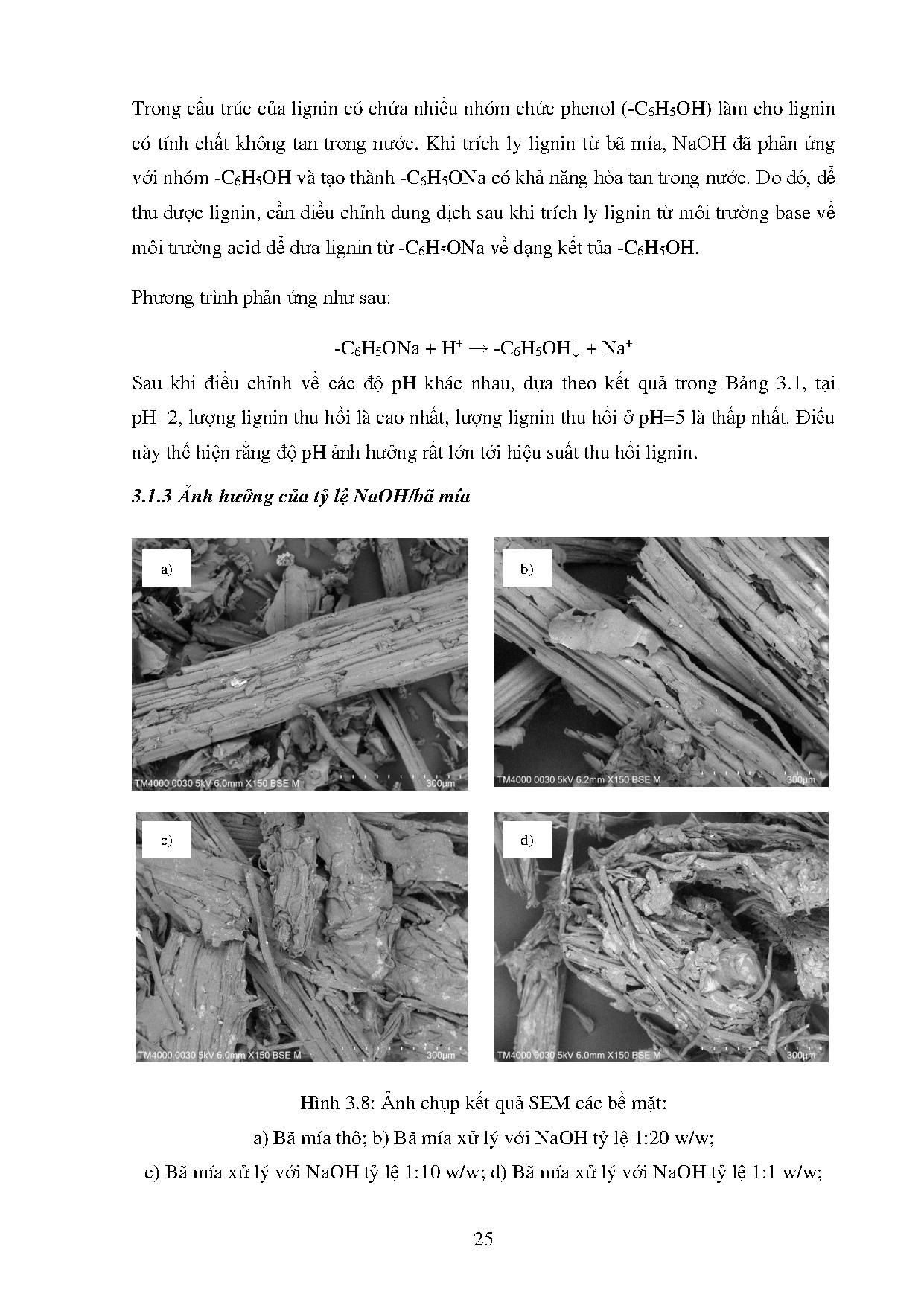 Ảnh một số trang tài liệu