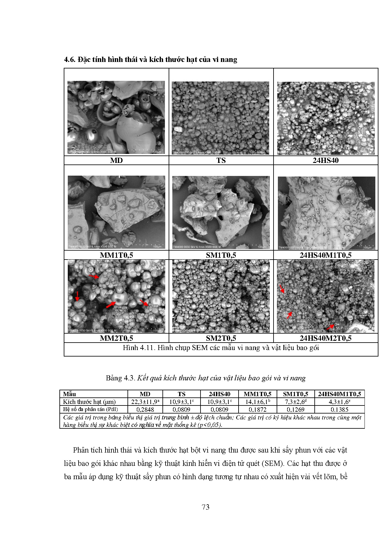 Ảnh một số trang tài liệu