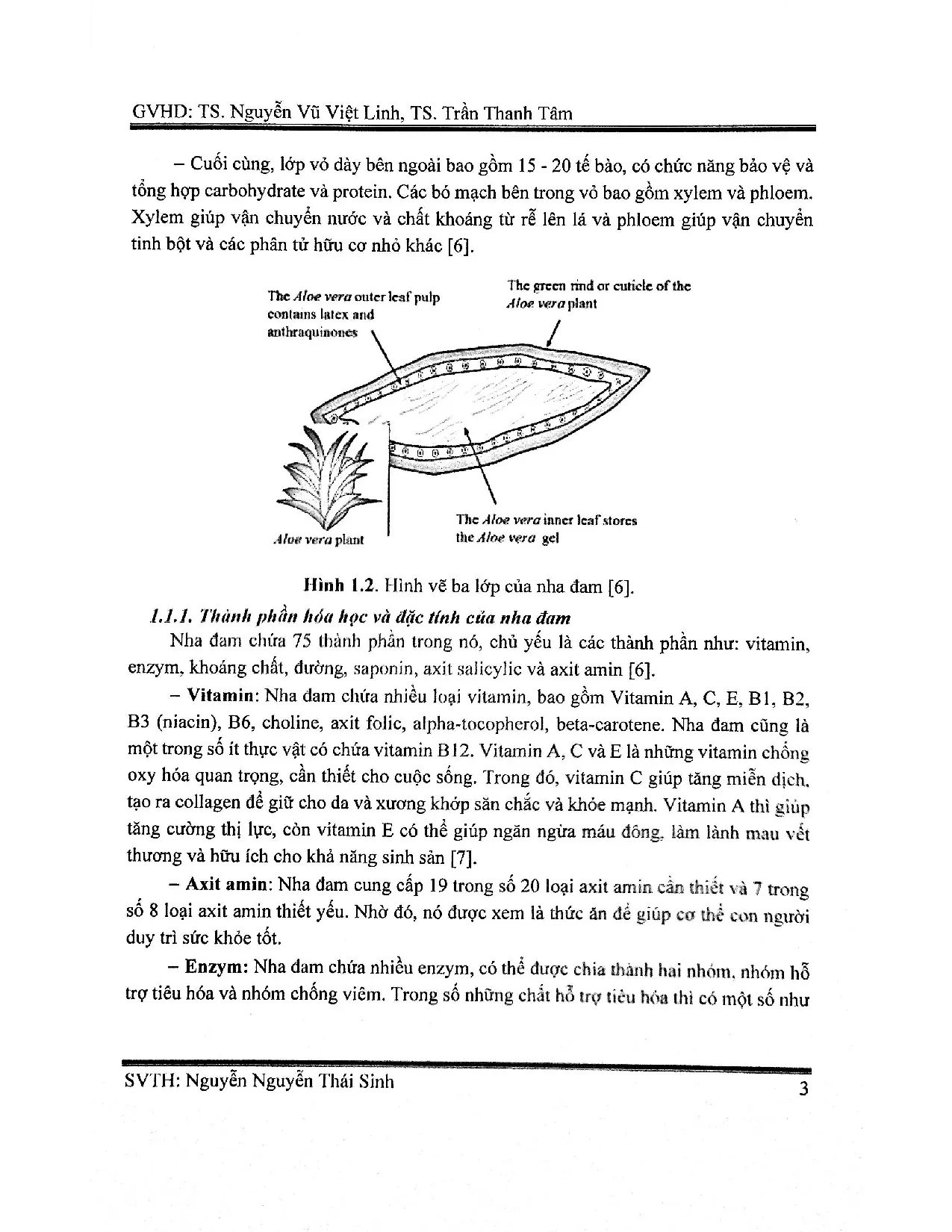 Đồ án tốt nghiệp - Nghiên cứu ảnh hưởng nồng độ của chiết suất cây nha đam đến tính CCMCNĐACTBPPF - Trang 16