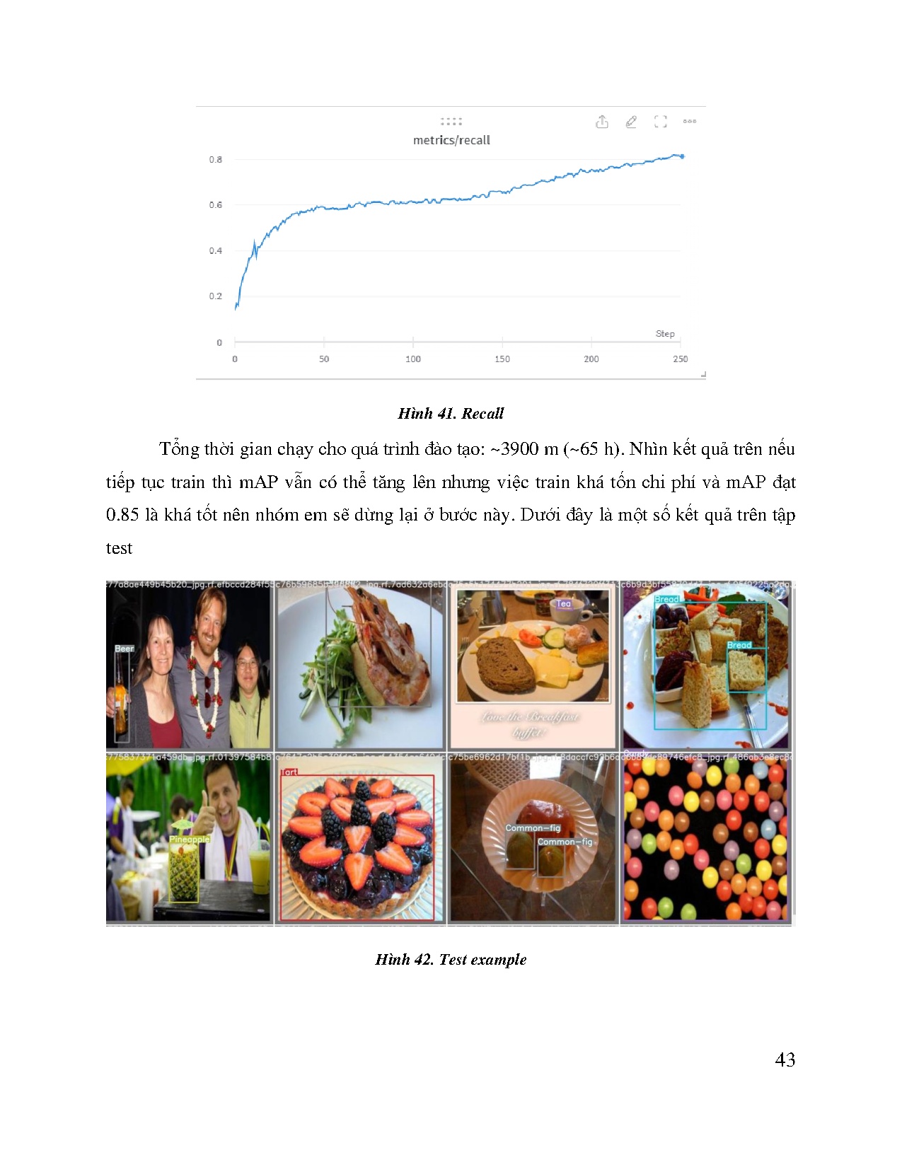 Đồ án tốt nghiệp - Xây dựng hệ thống nhận dạng thực phẩm dựa trên học sâu - Trang 43