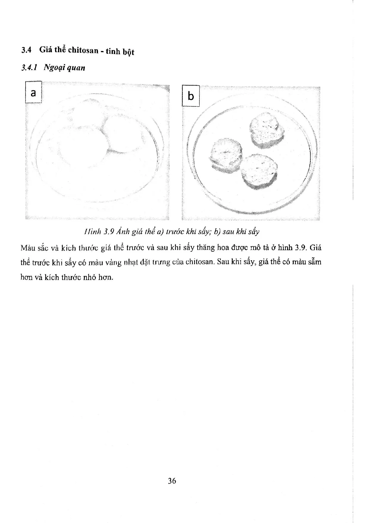 Đồ án tốt nghiệp - Nghiên cứu tổng hợp 3D nanocomposite tinh bột/chitosan/HA/ZnO dùng làm giá thể X - Trang 54