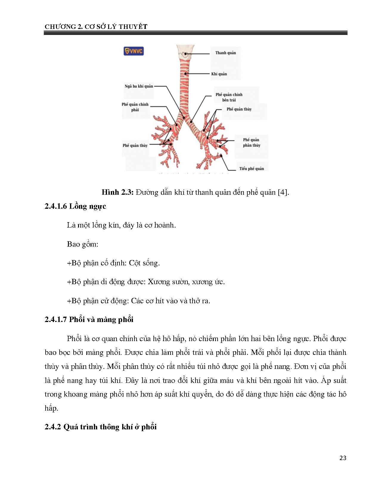 Ảnh một số trang tài liệu